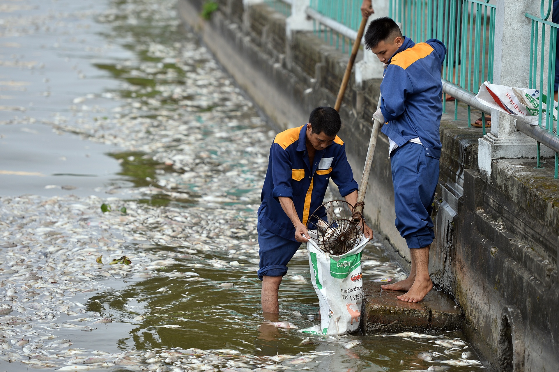 ca chet tren ho Tay Ha Noi anh 4