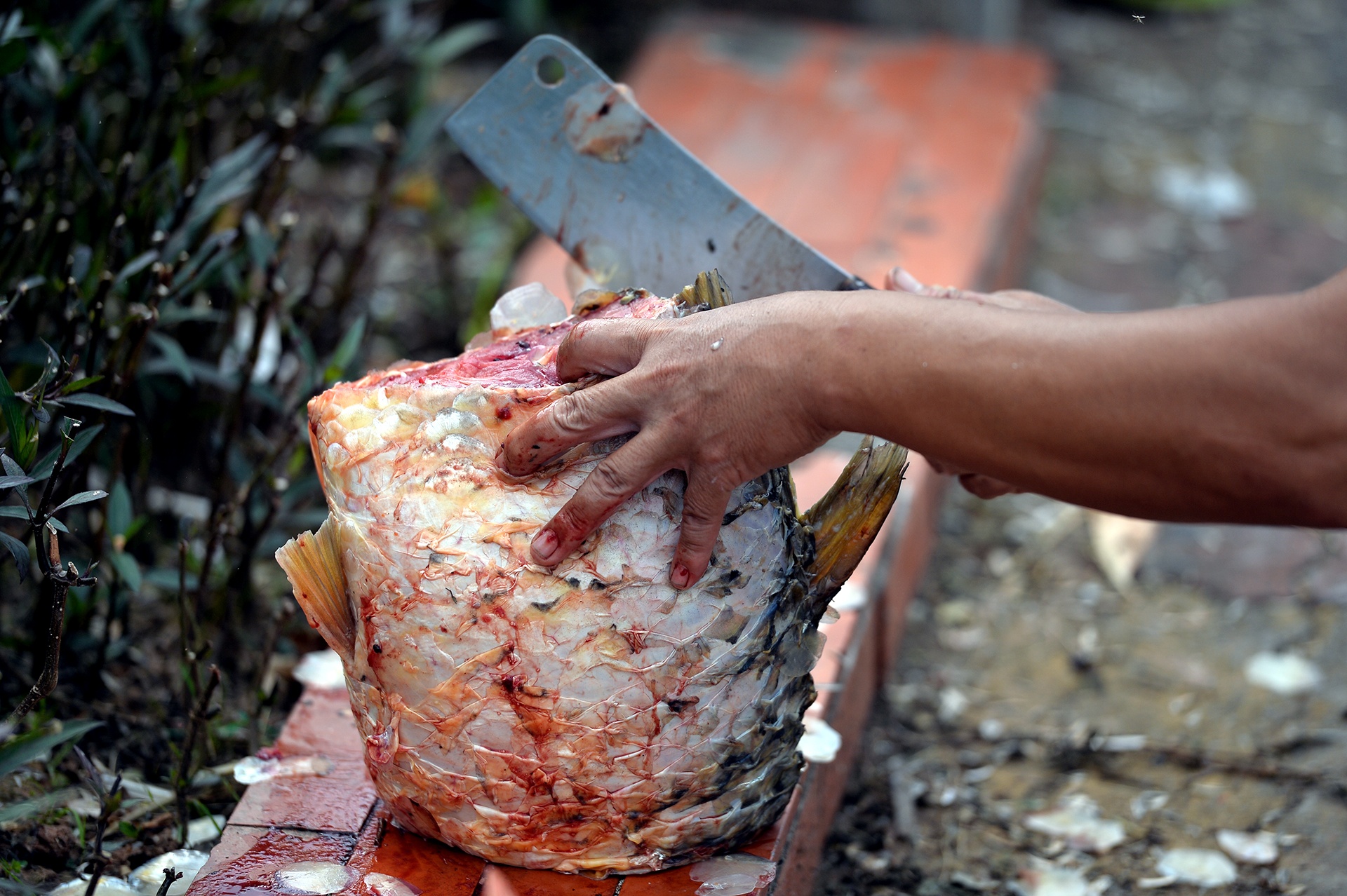 ca chet tren ho Tay Ha Noi anh 9