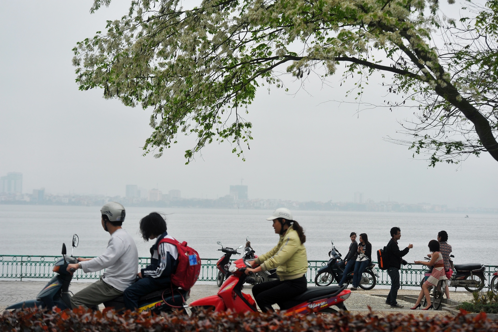 ho Tay o Ha Noi anh 2