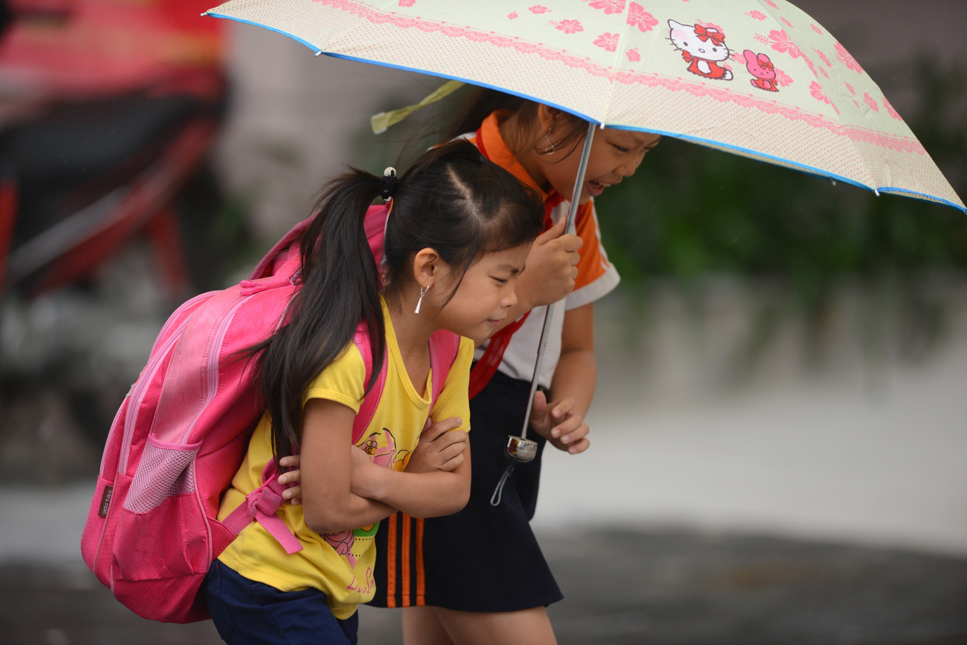 Hà Nội trở lạnh trong gió đầu mùa ảnh 5 Ha Noi tro lanh trong gio dau mua anh 5