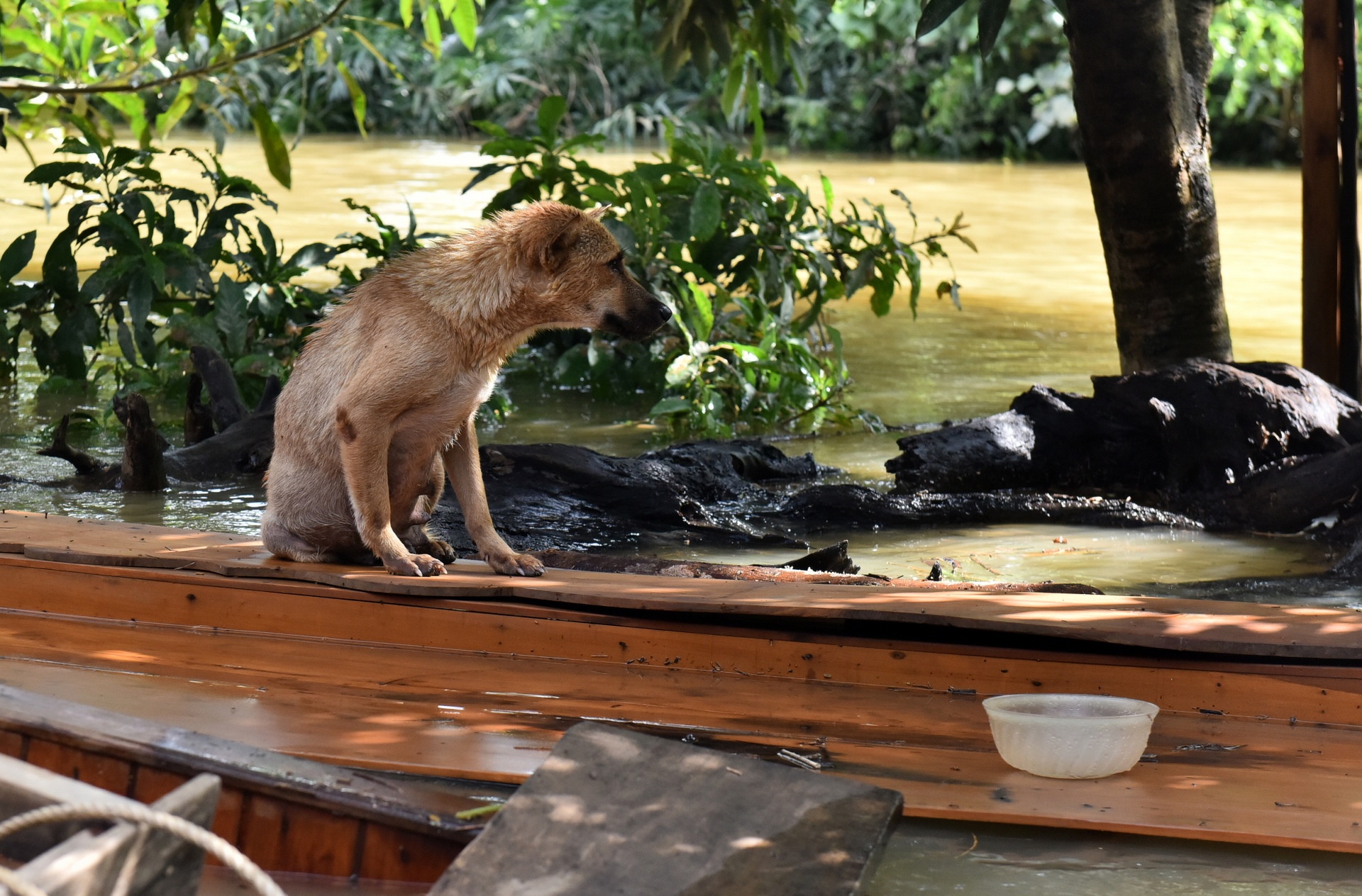 lu lut hoanh hanh mien Trung anh 16