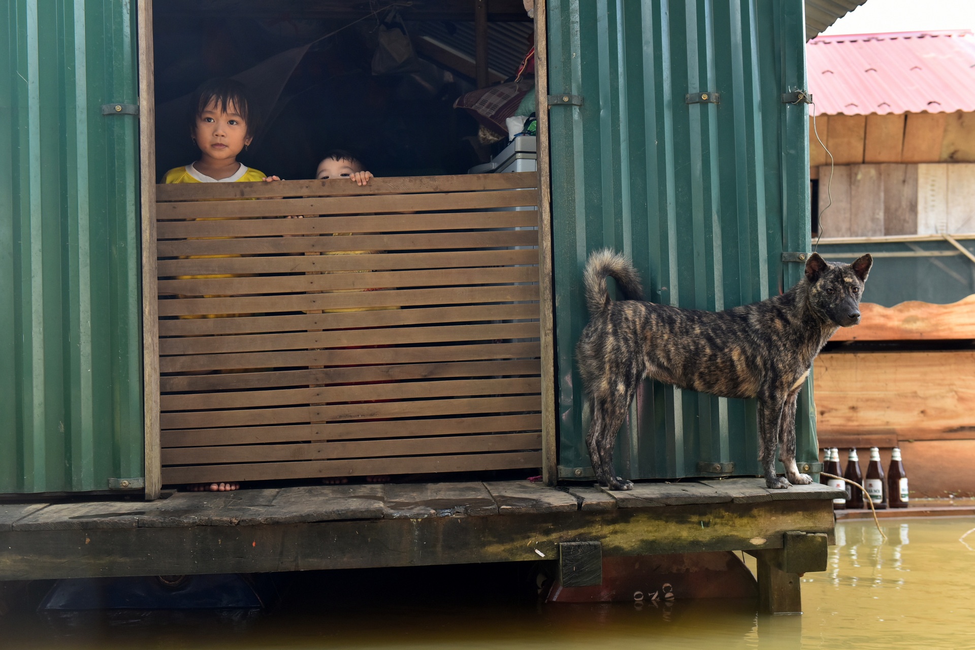 lu lut hoanh hanh mien Trung anh 7