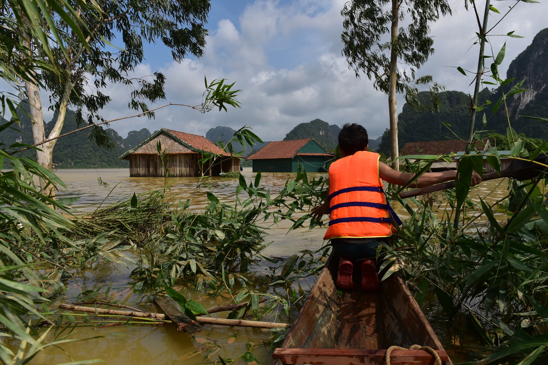 Ron lu Tan Hoa nhung ngay khon kho hinh anh