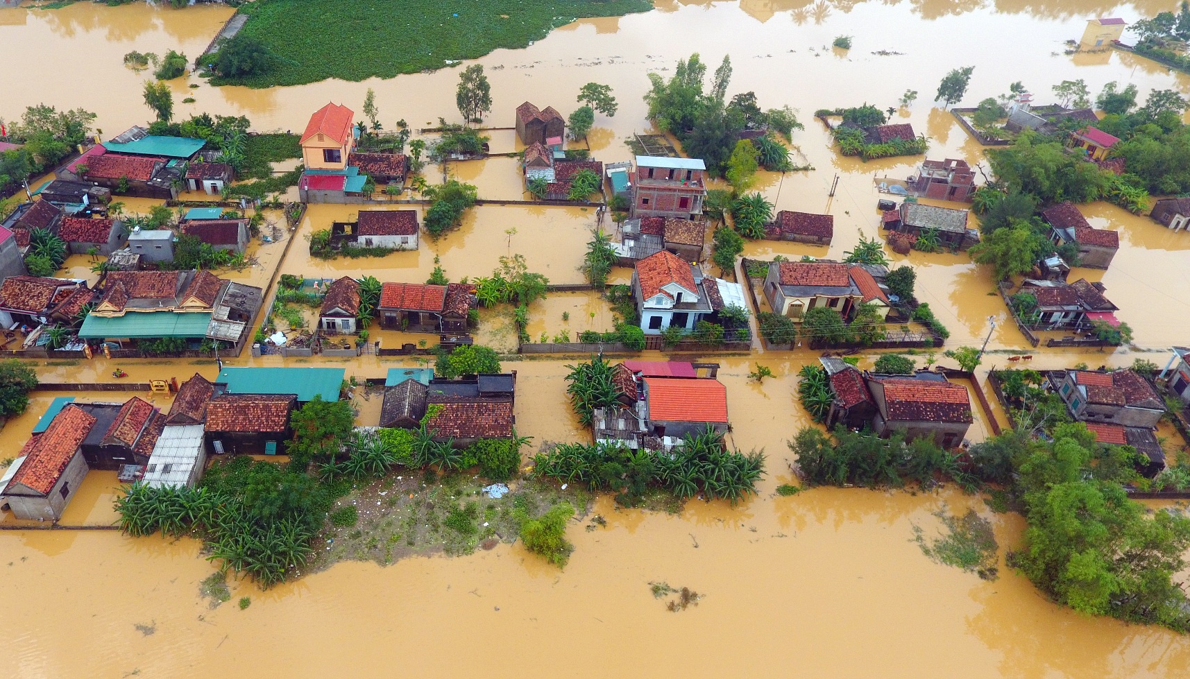 lu lut mien Trung anh 3