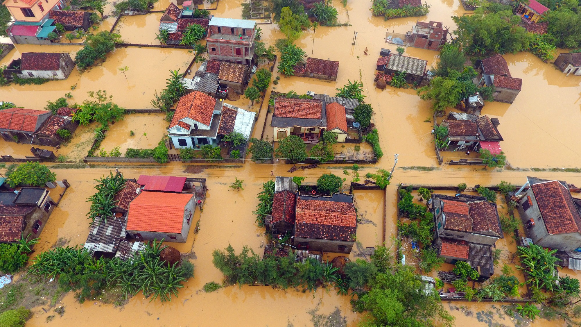 lu lut mien Trung anh 5