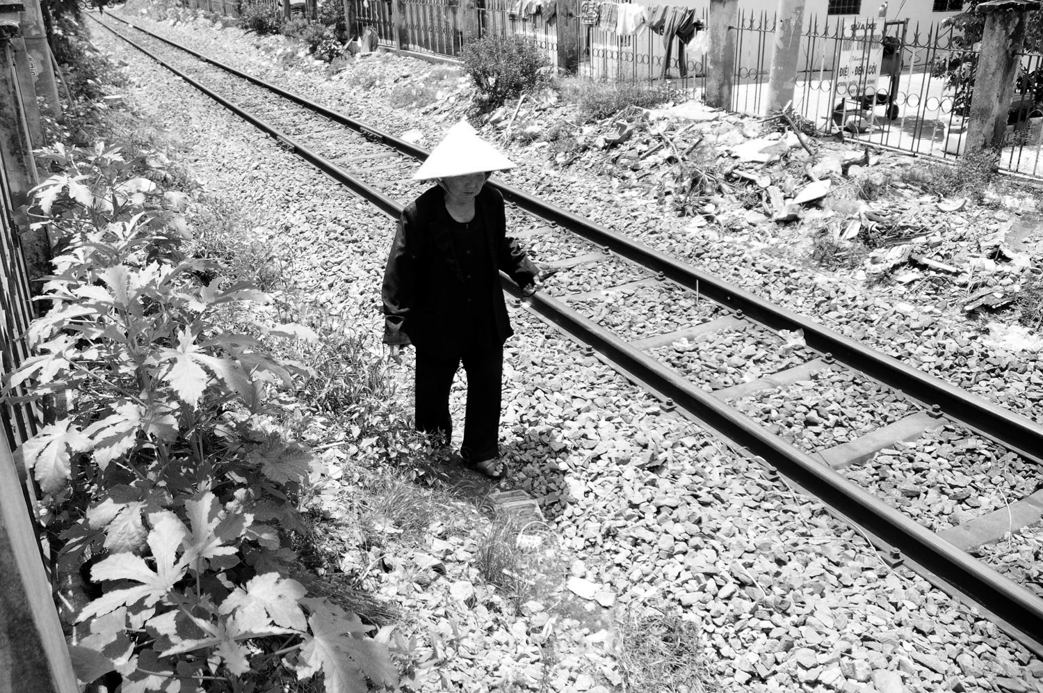 nhung nguoi phu nu Viet Nam anh 5