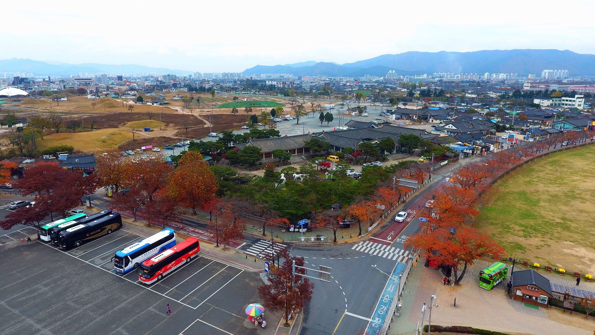 mua la do Han Quoc anh 10