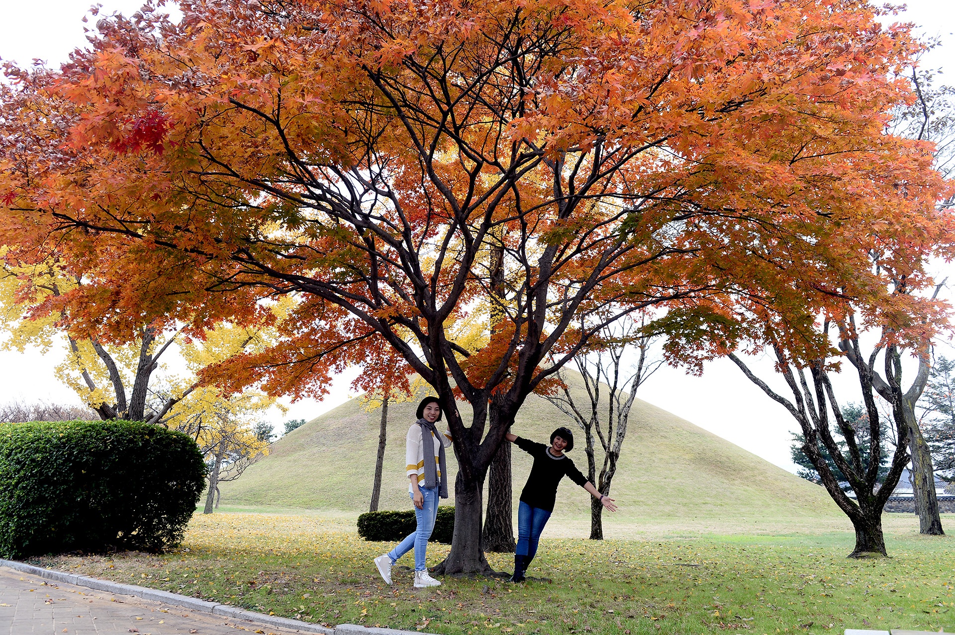 mua la do Han Quoc anh 12