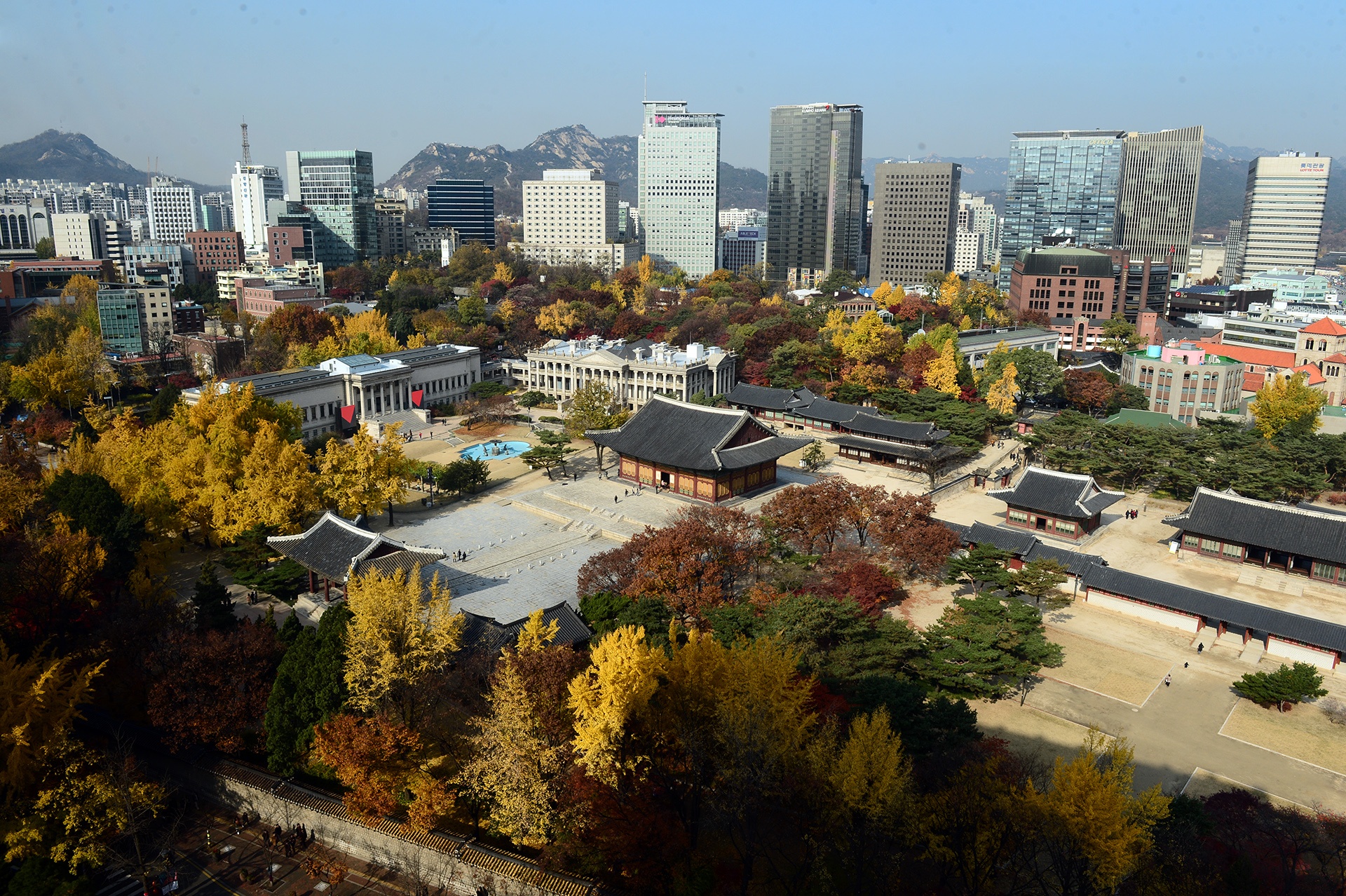 mua la do Han Quoc anh 15