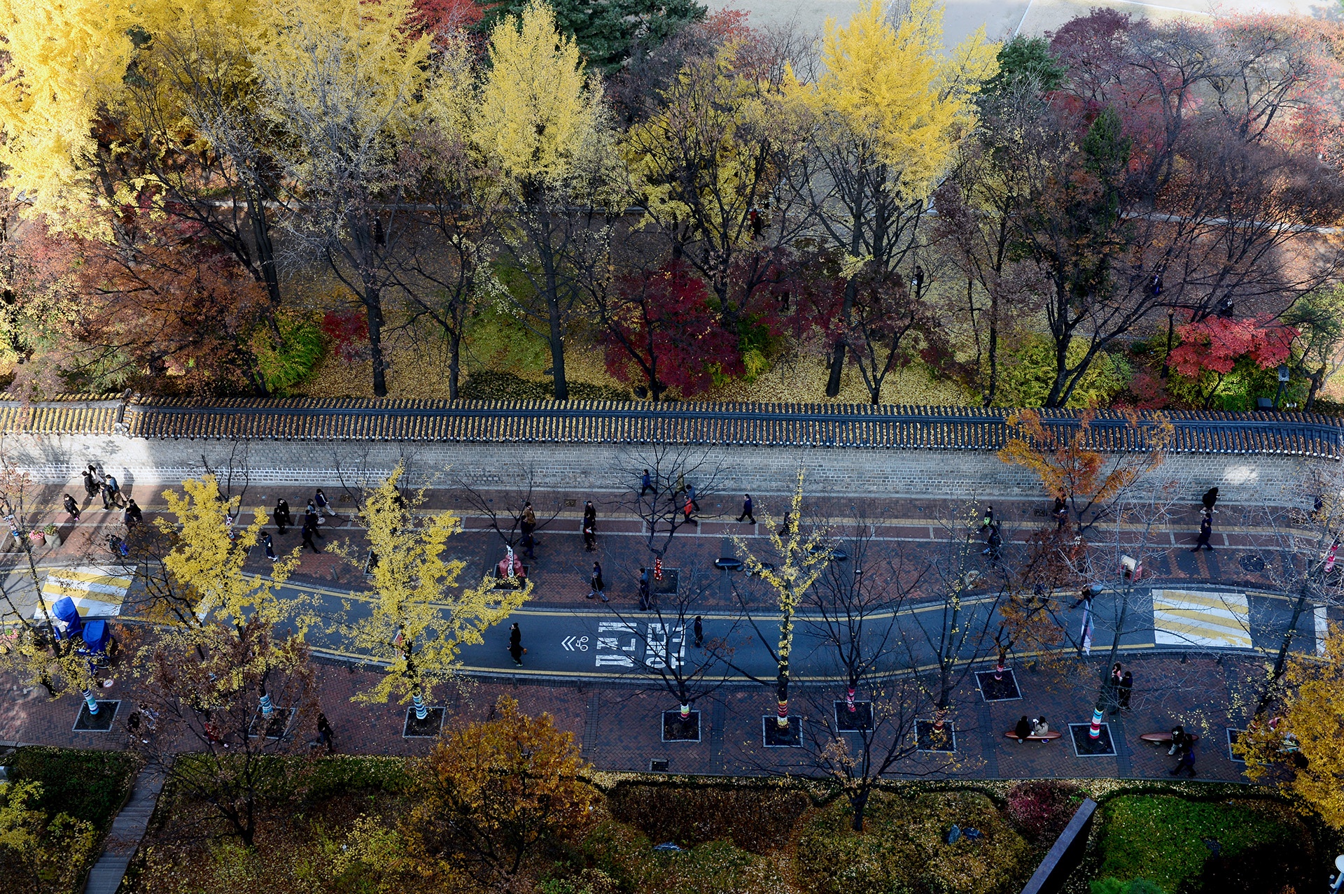 mua la do Han Quoc anh 17