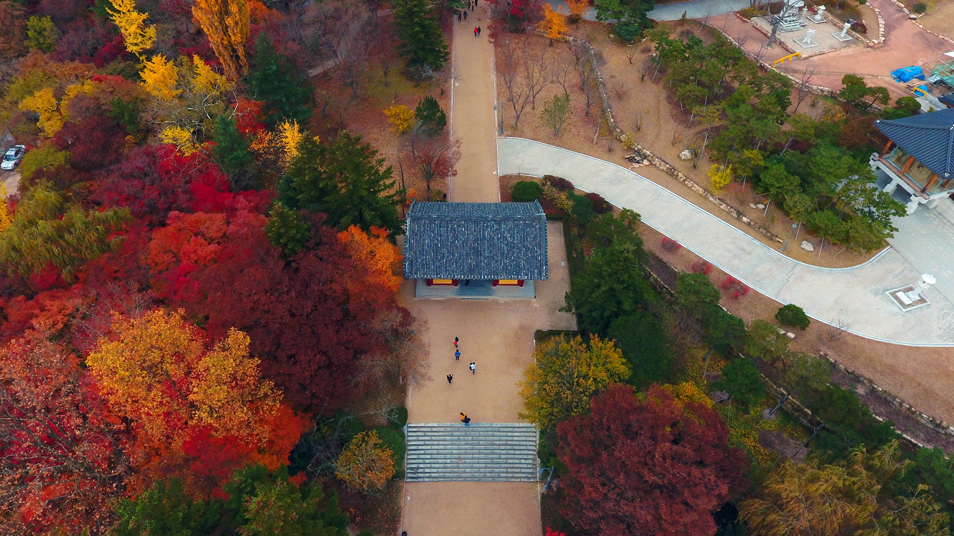 mua la do Han Quoc anh 2