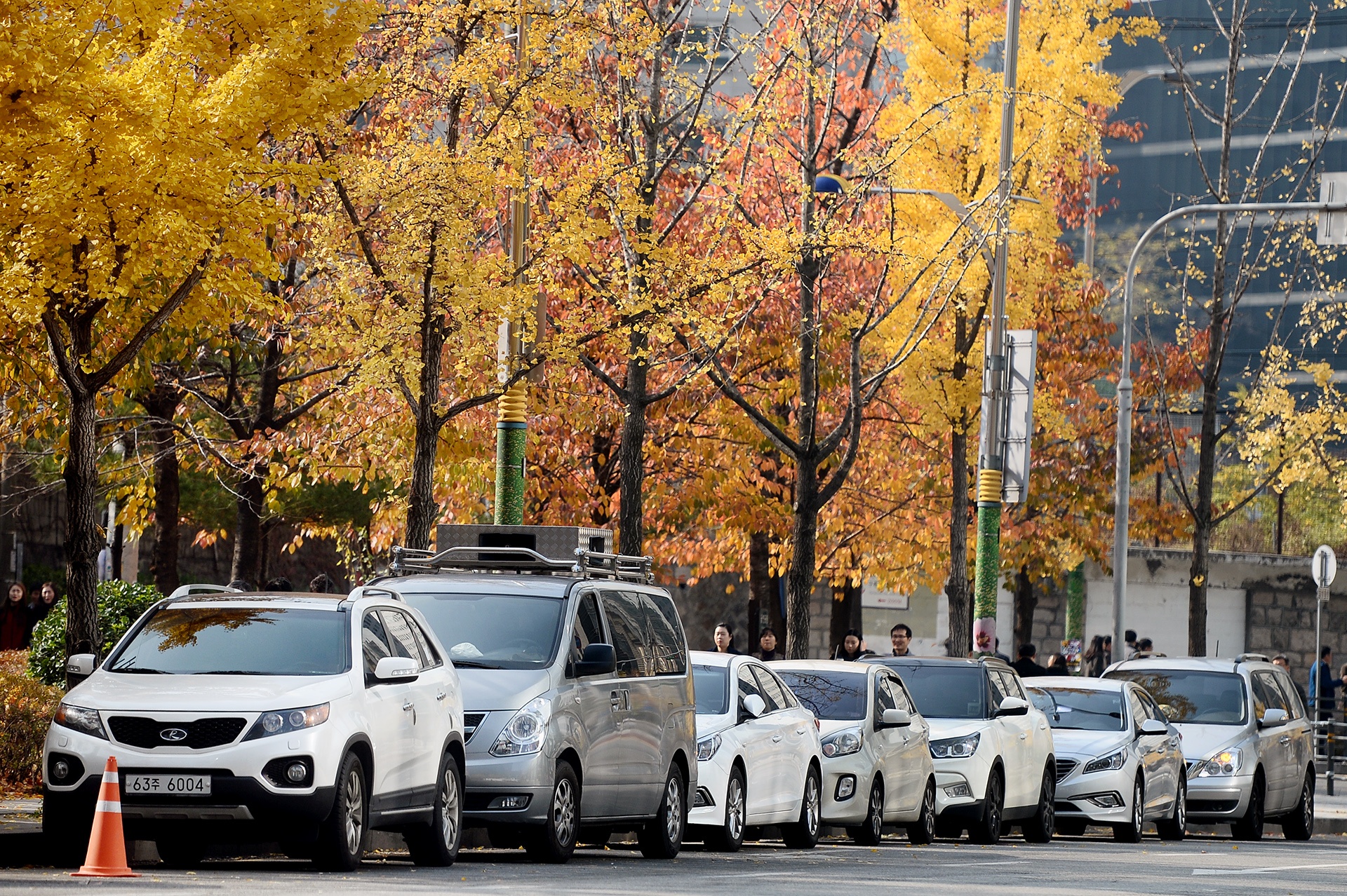 mua la do Han Quoc anh 20