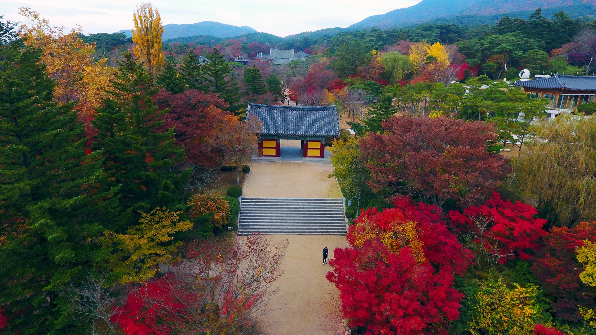 mua la do Han Quoc anh 3