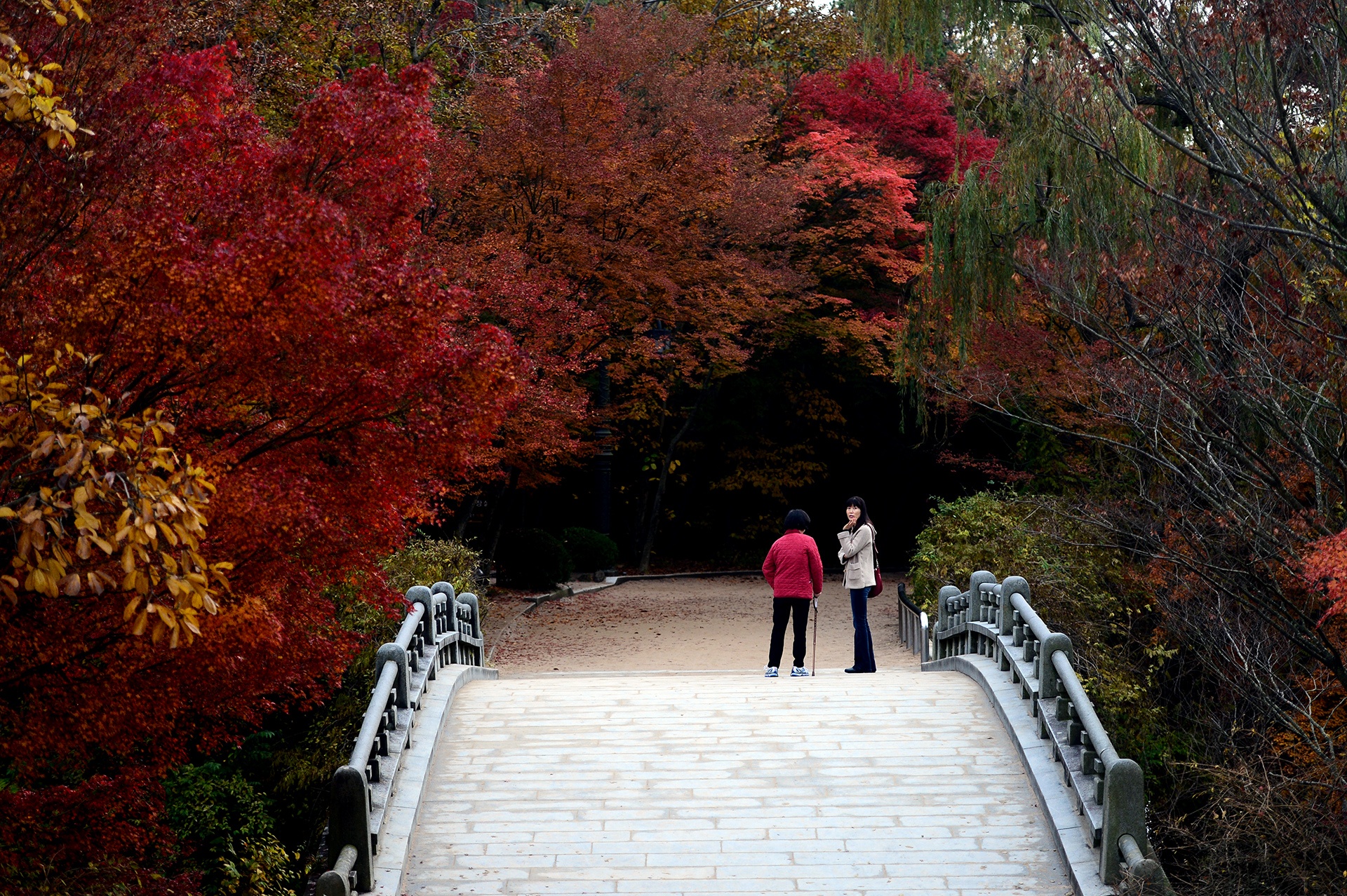 mua la do Han Quoc anh 4