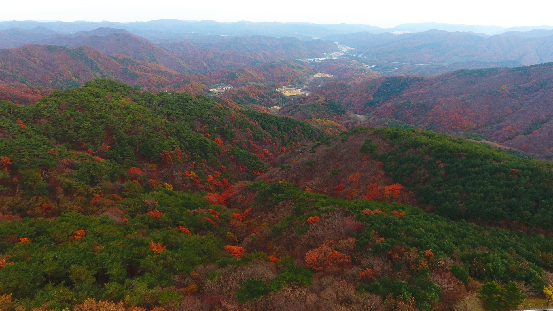 mua la do Han Quoc anh 7