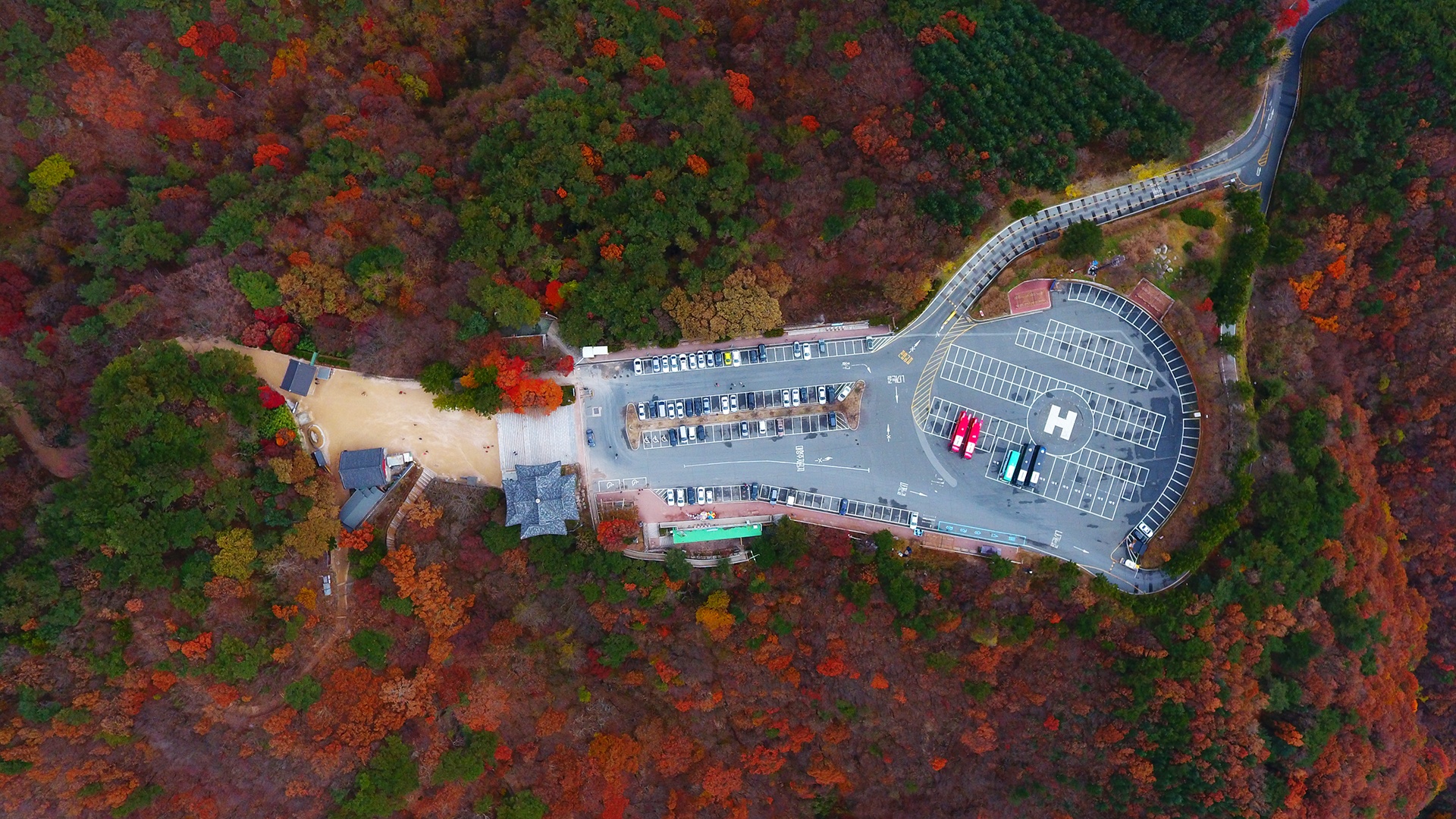 mua la do Han Quoc anh 8