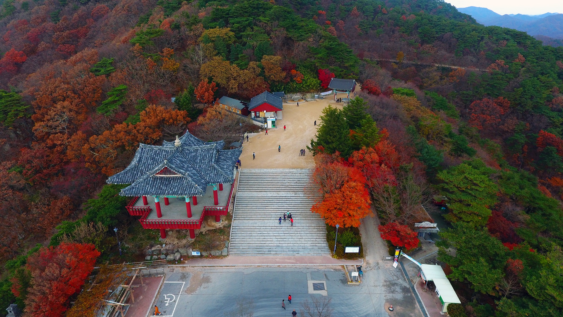 mua la do Han Quoc anh 9