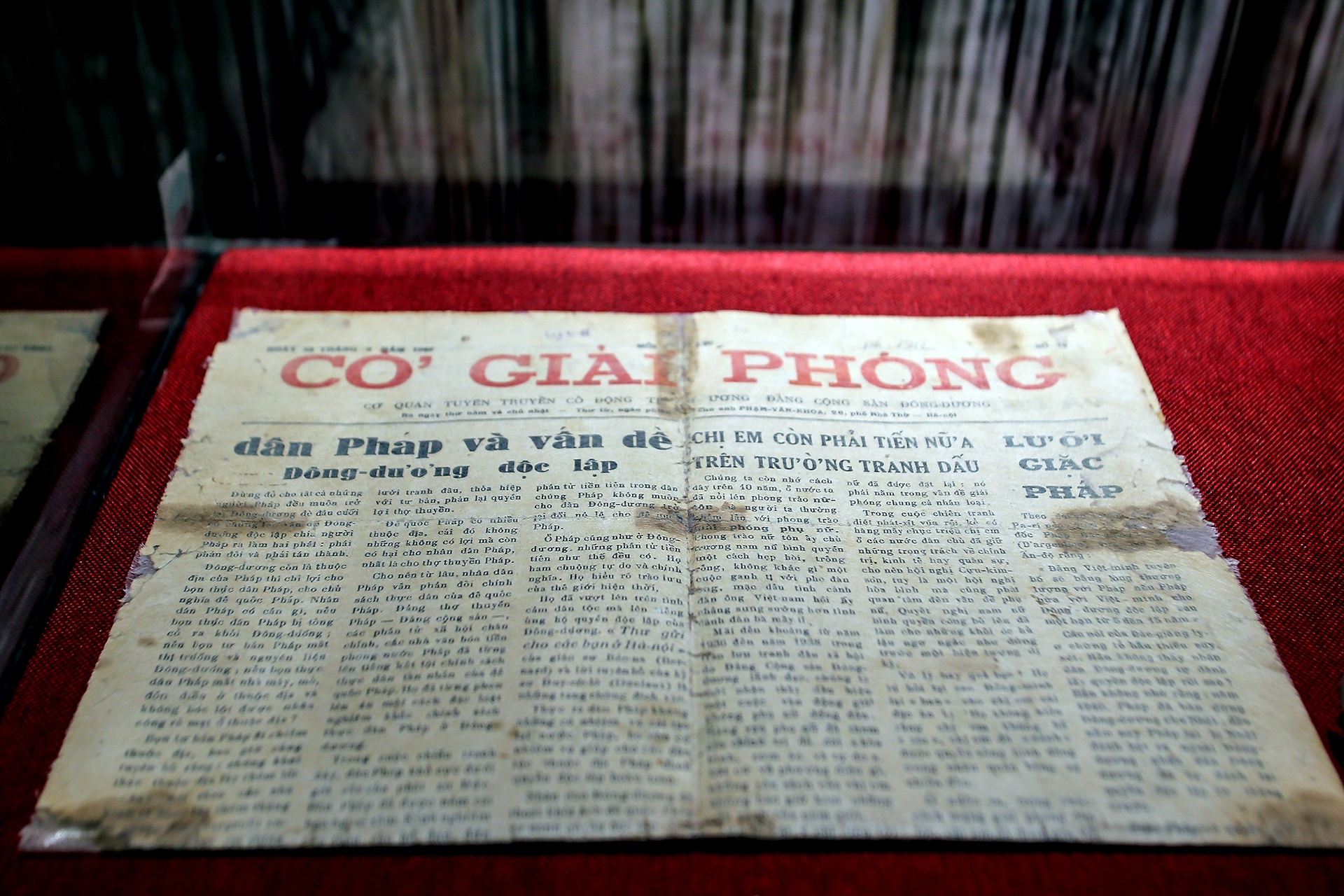 Nhung hien vat song mai voi thu do anh 4