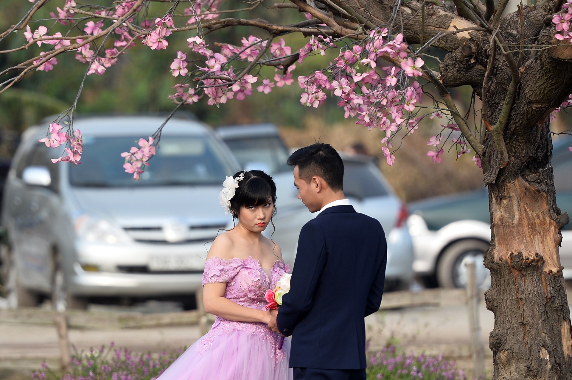 chup anh cuoi o thao nguyen hoa anh 12