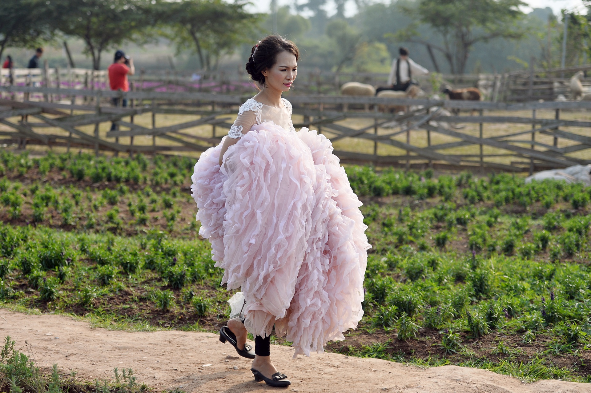 chup anh cuoi o thao nguyen hoa anh 14