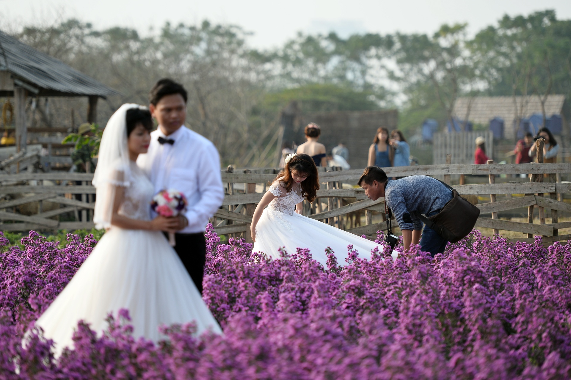 chup anh cuoi o thao nguyen hoa anh 16