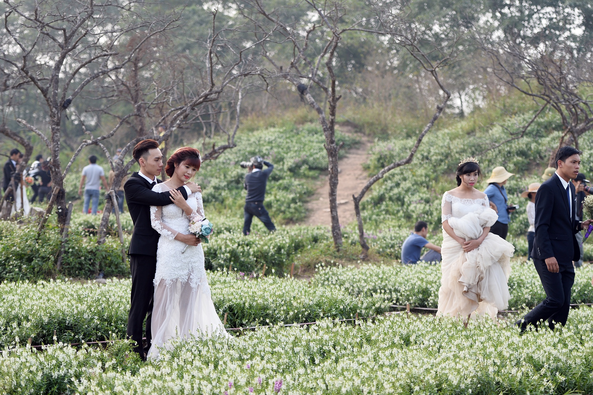 chup anh cuoi o thao nguyen hoa anh 2