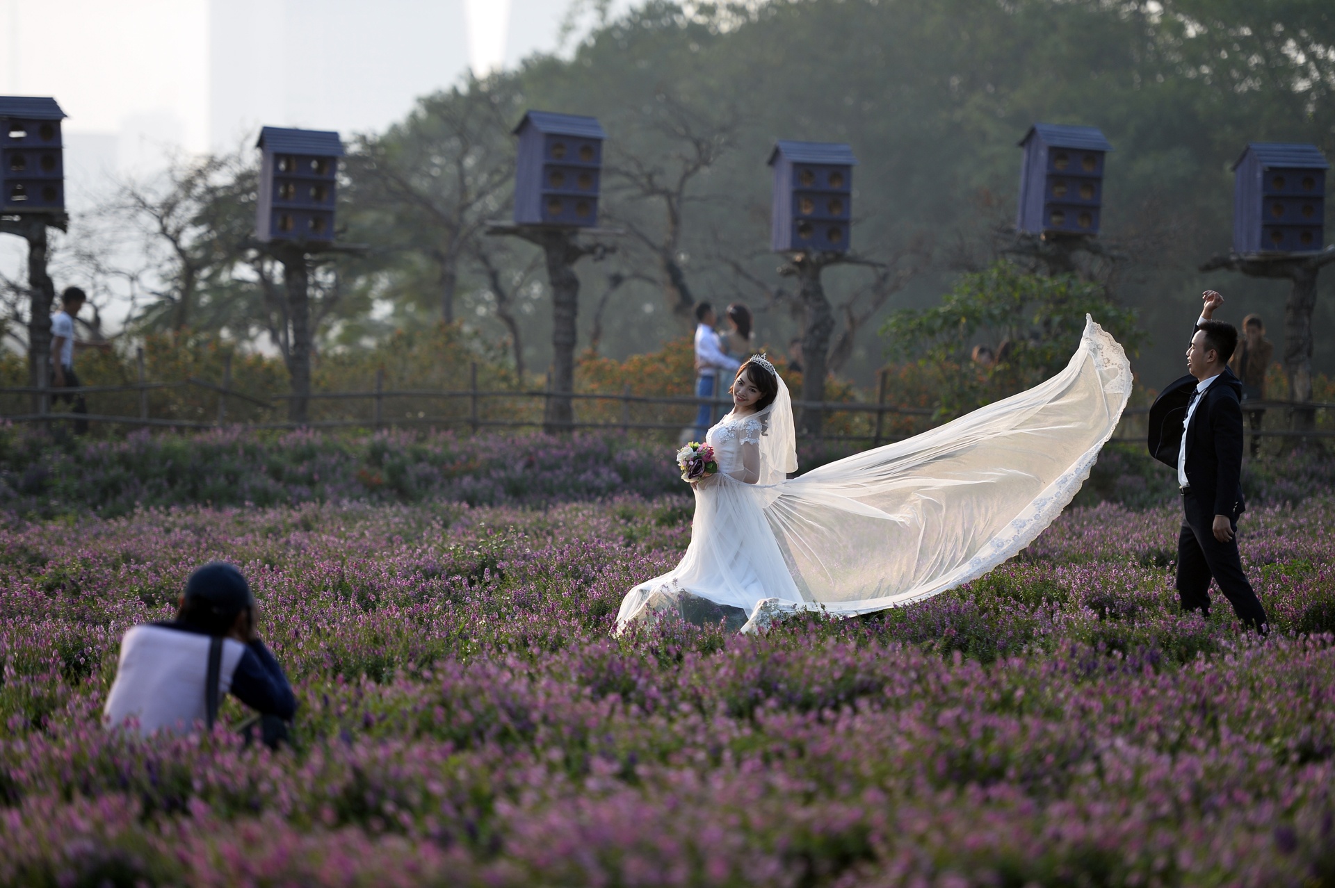 chup anh cuoi o thao nguyen hoa anh 20