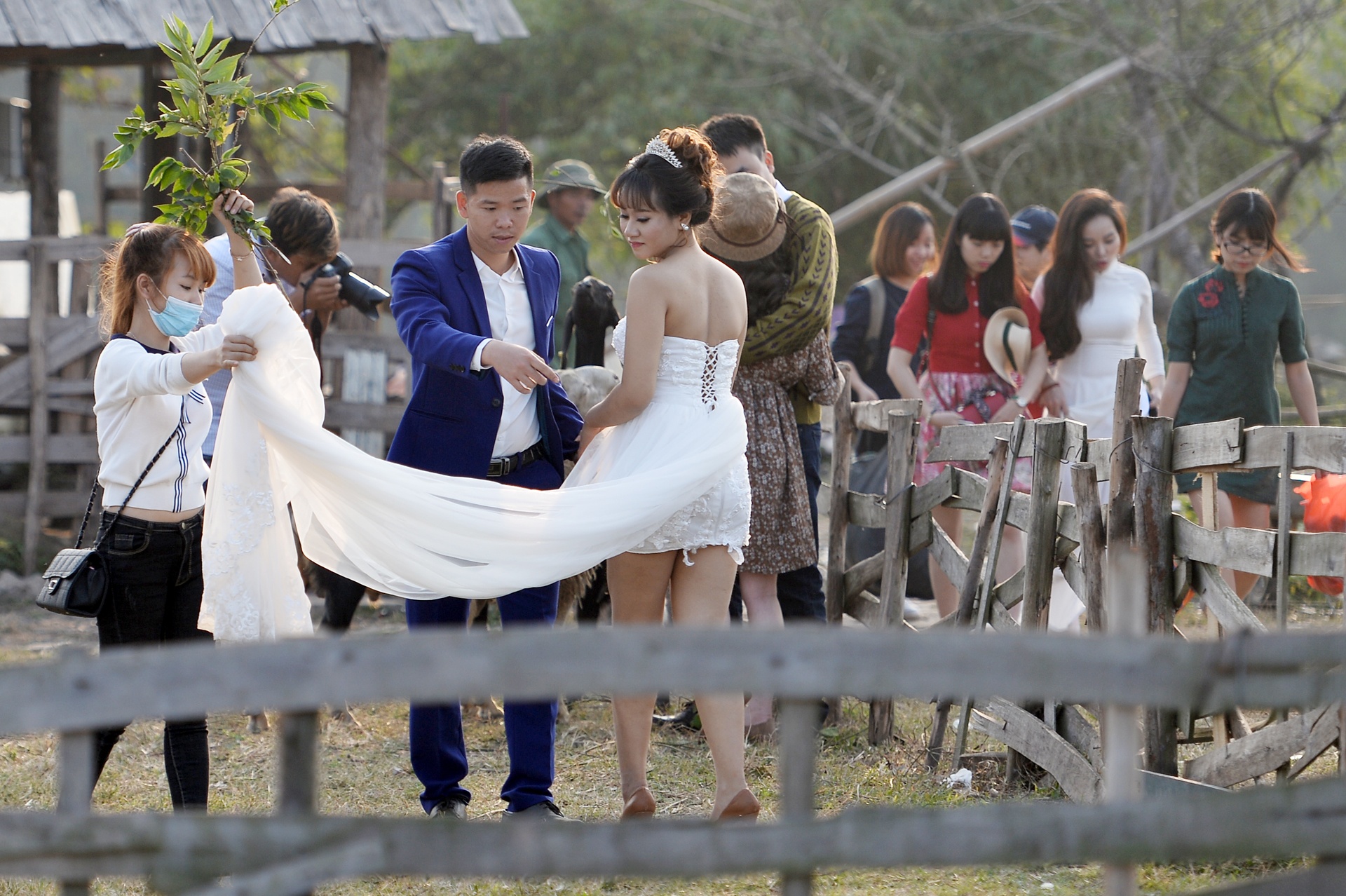 chup anh cuoi o thao nguyen hoa anh 5