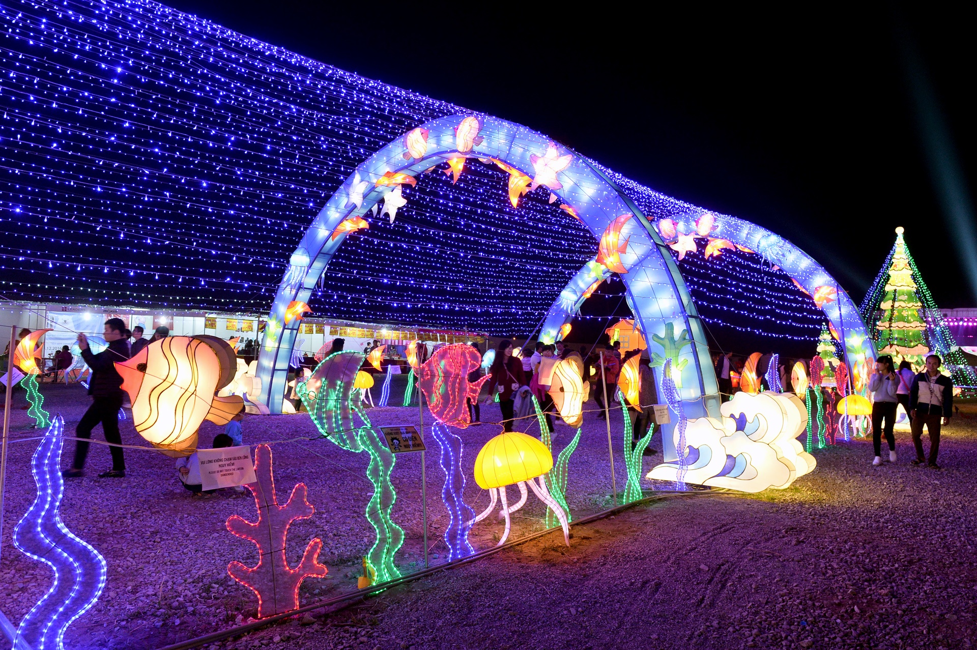 Le hoi den long khong lo o cong vien Yen So anh 15