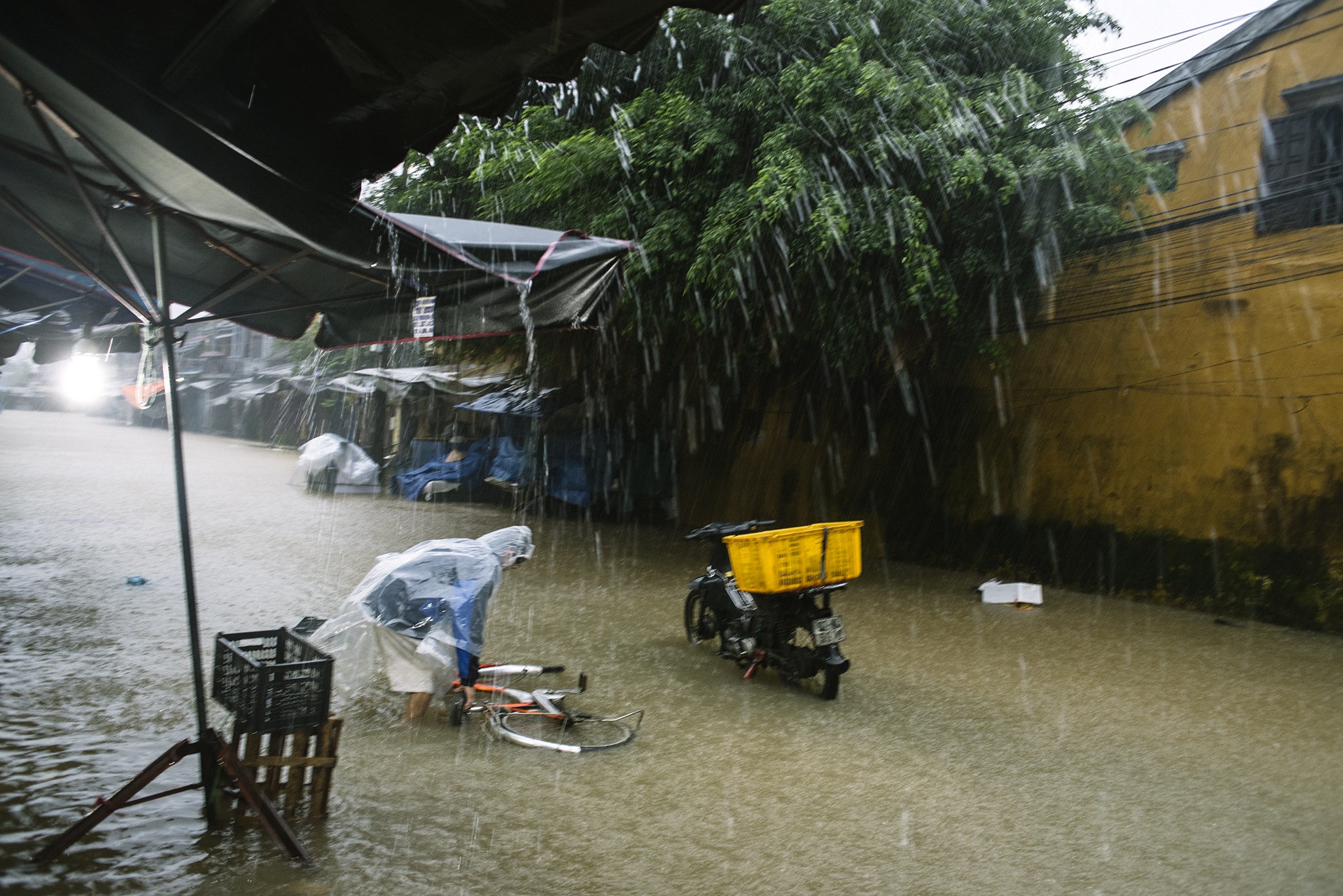 Hoi An thanh song vi mua lu anh 9