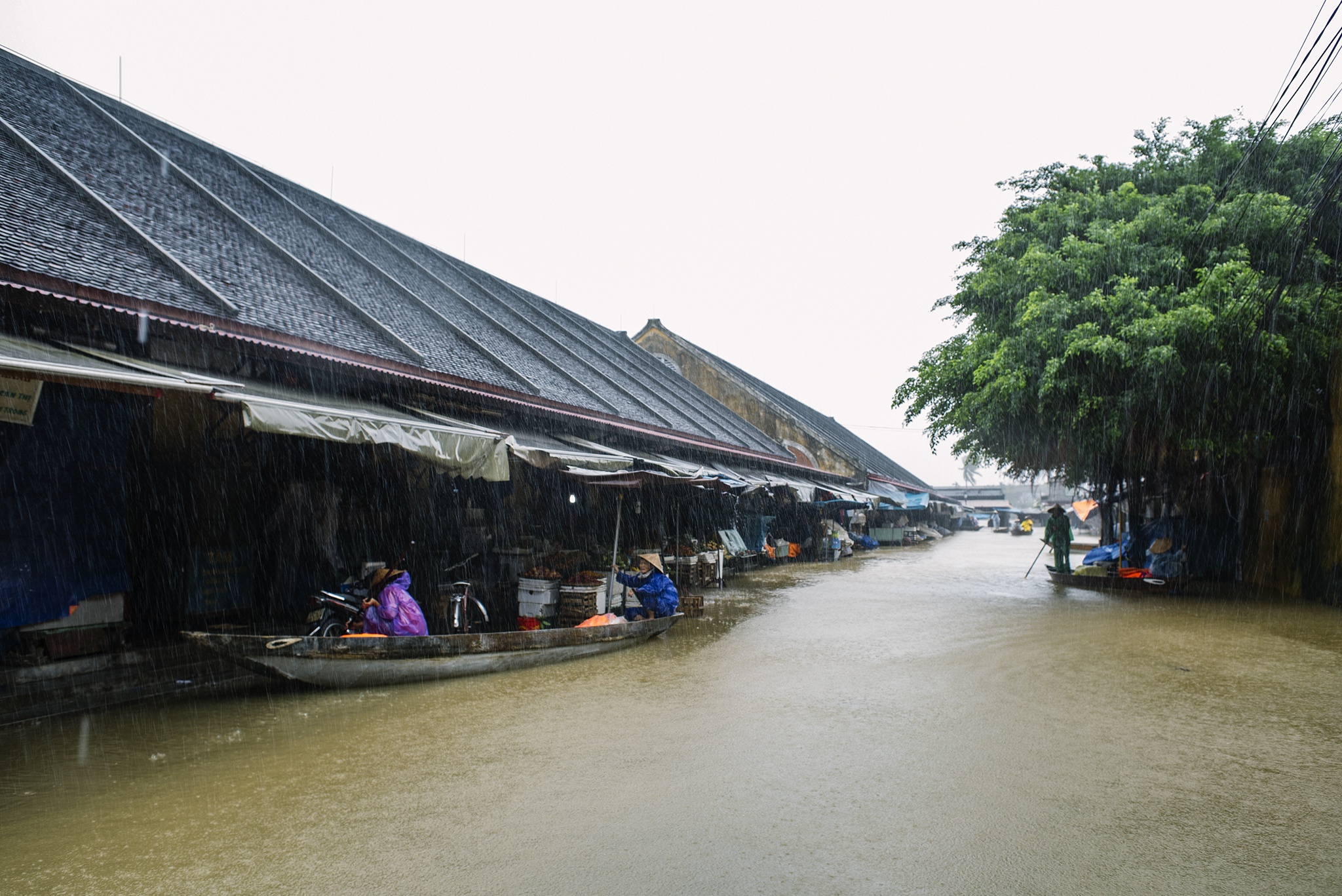 Hoi An thanh song vi mua lu anh 6