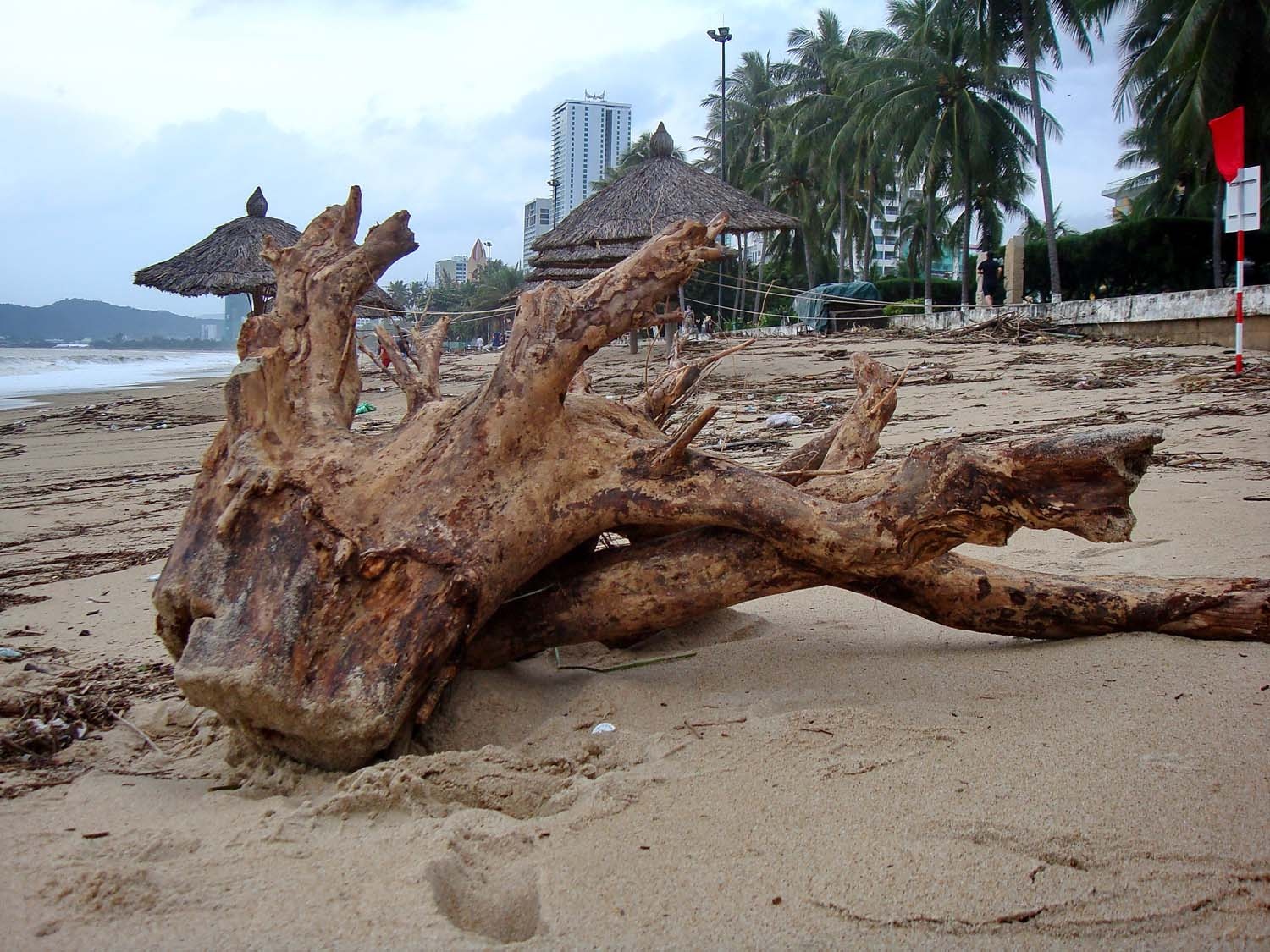 bai bien Nha Trang ngap ngua rac thai anh 8