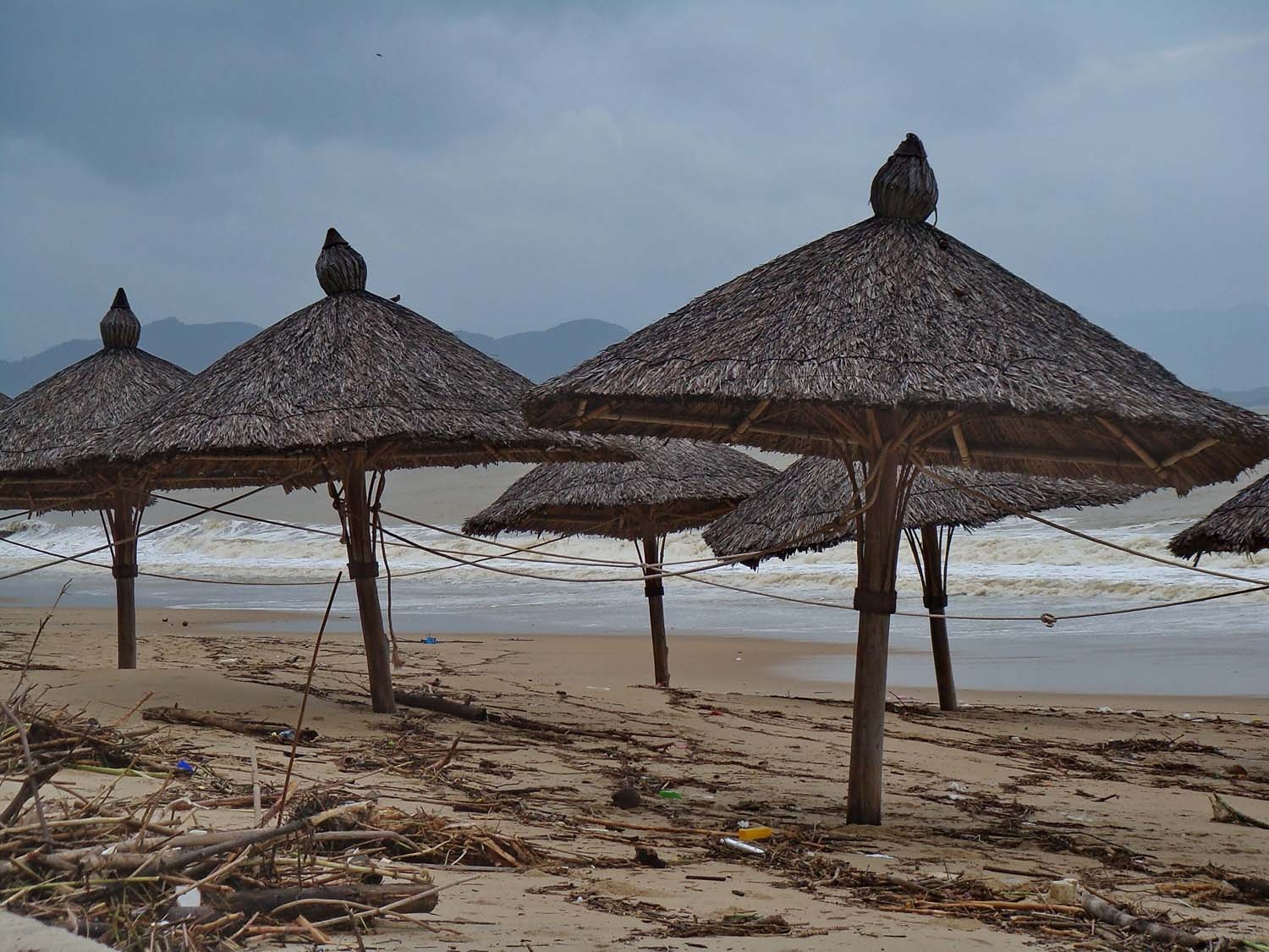 bai bien Nha Trang ngap ngua rac thai anh 10