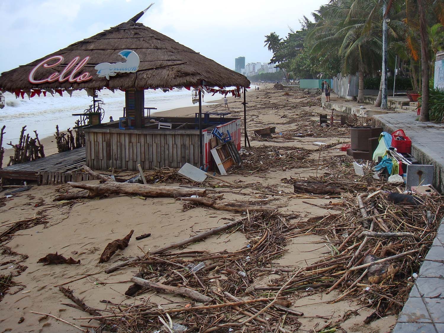 bai bien Nha Trang ngap ngua rac thai anh 3