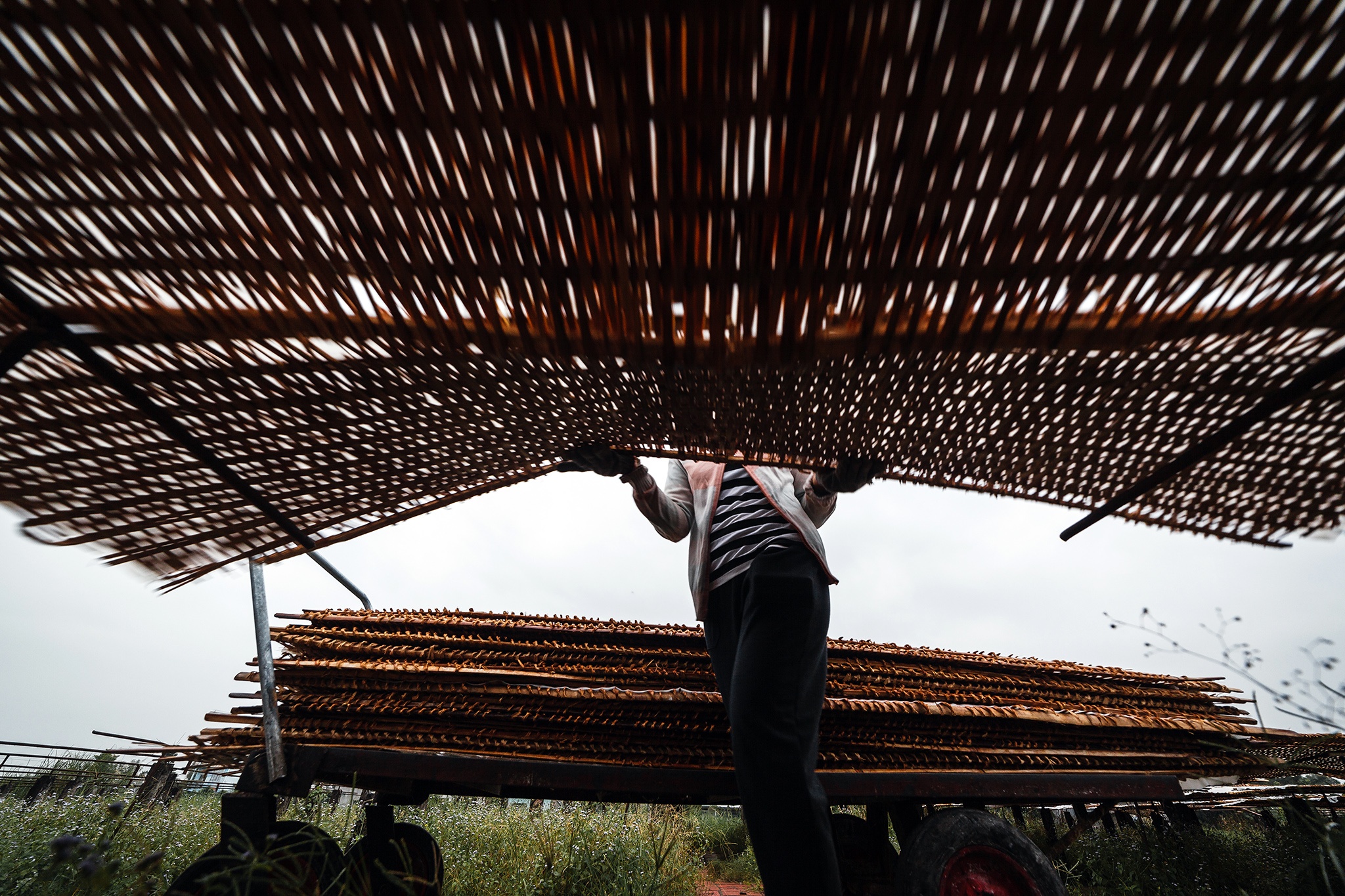 san xuat hu tieu o Sa Dec anh 14