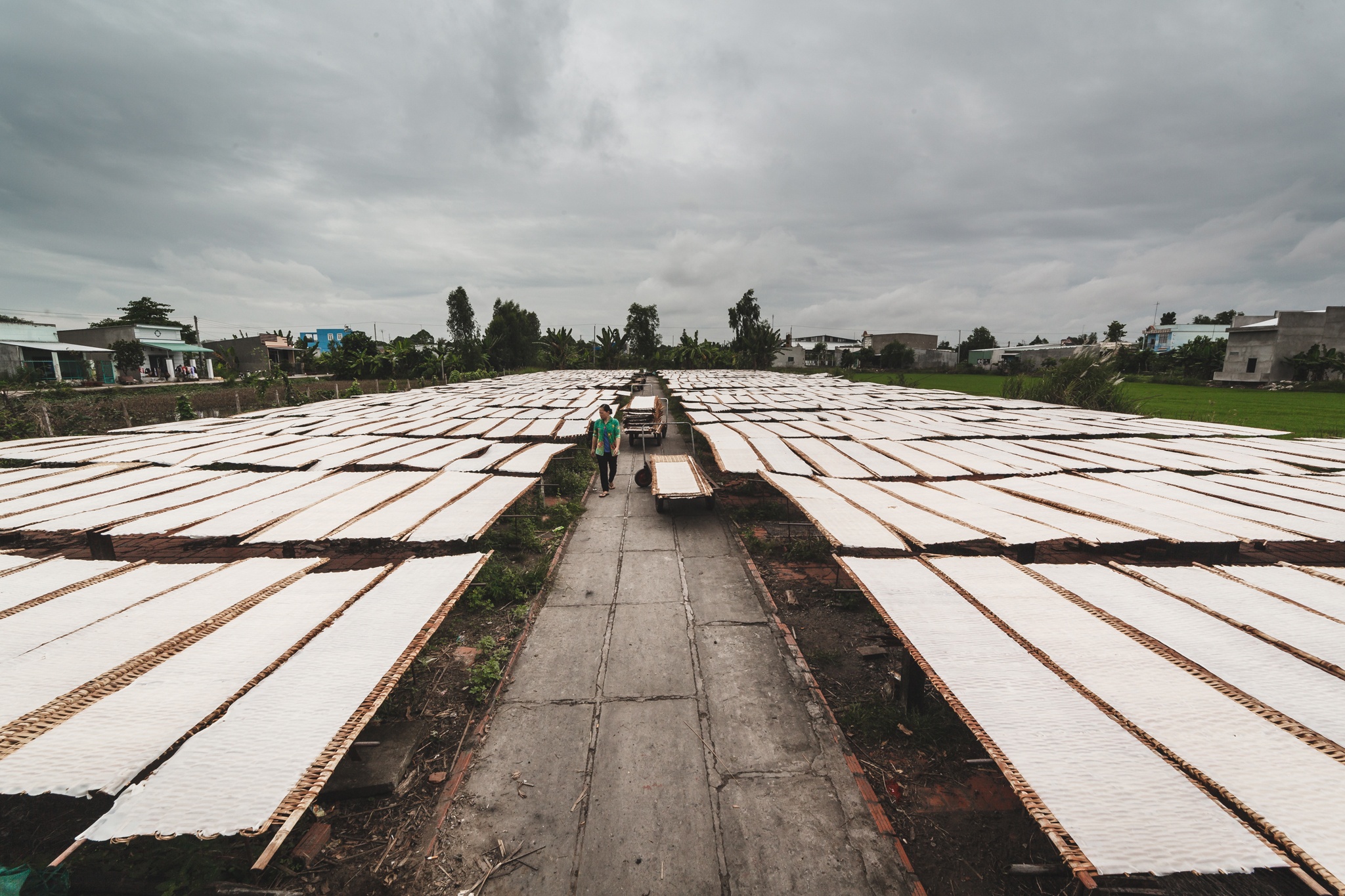 san xuat hu tieu o Sa Dec anh 1