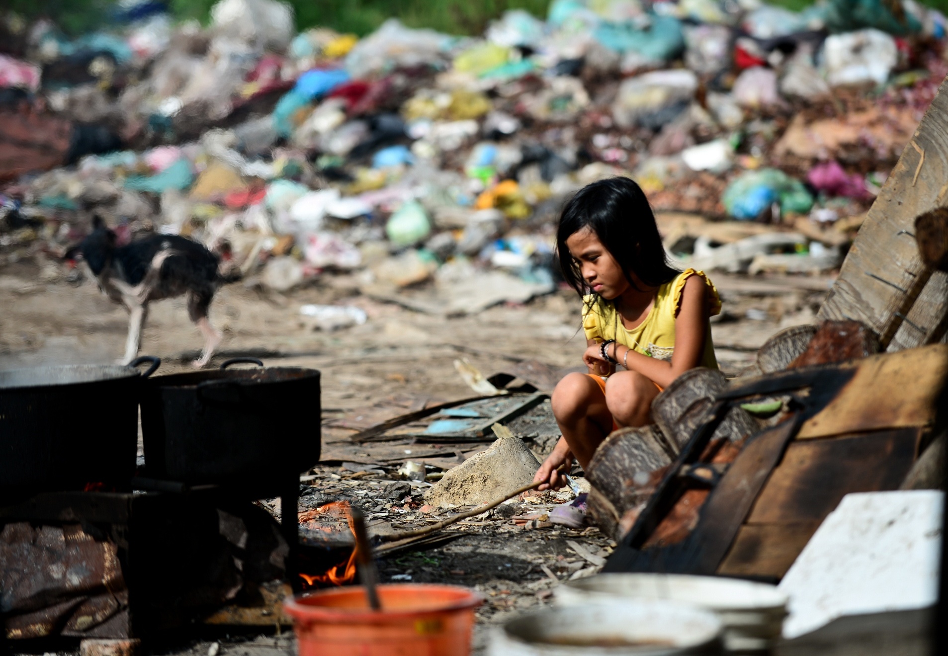 10 phong su anh ve con nguoi anh 7