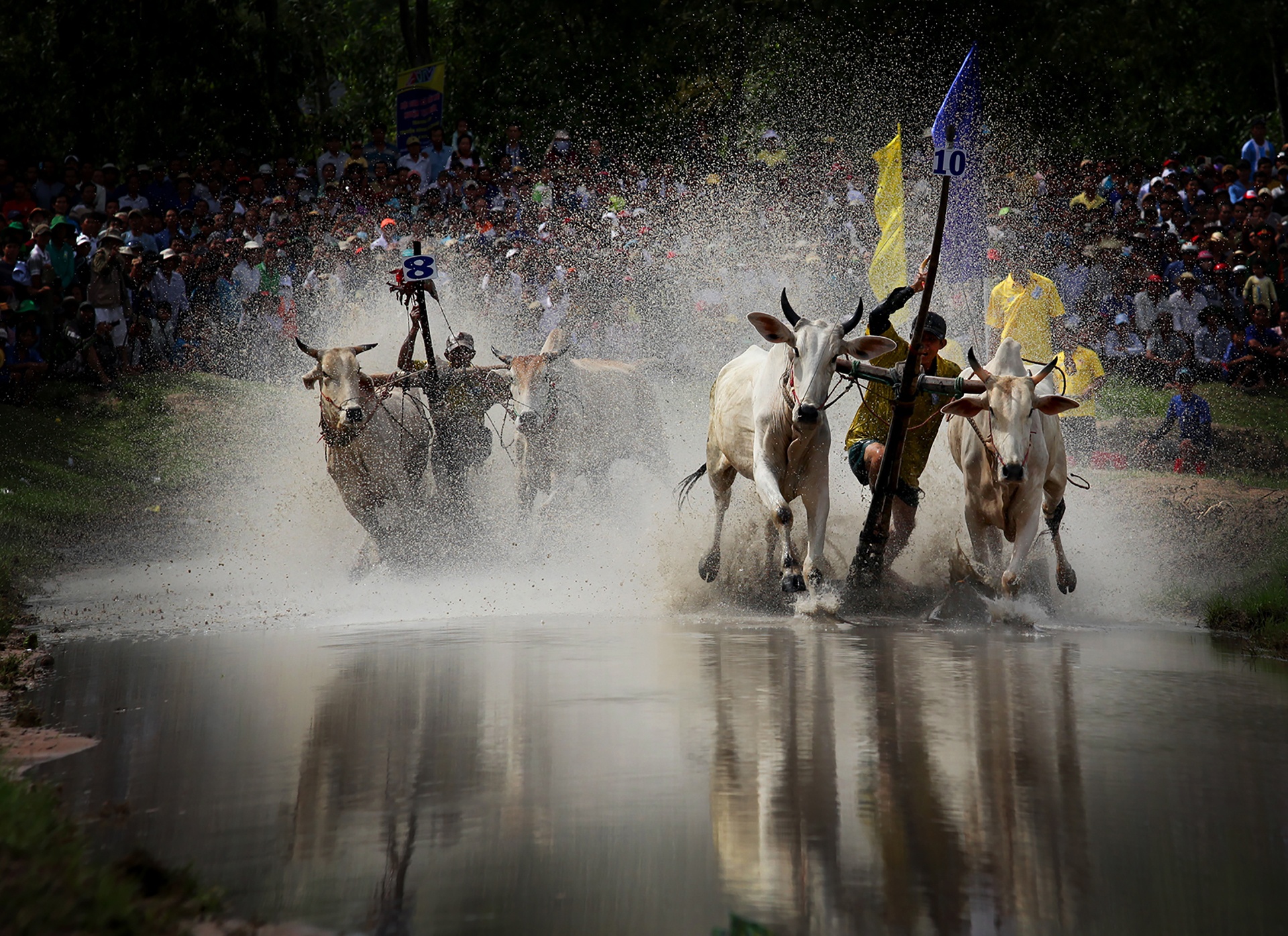 trung bay anh SEAN anh 8