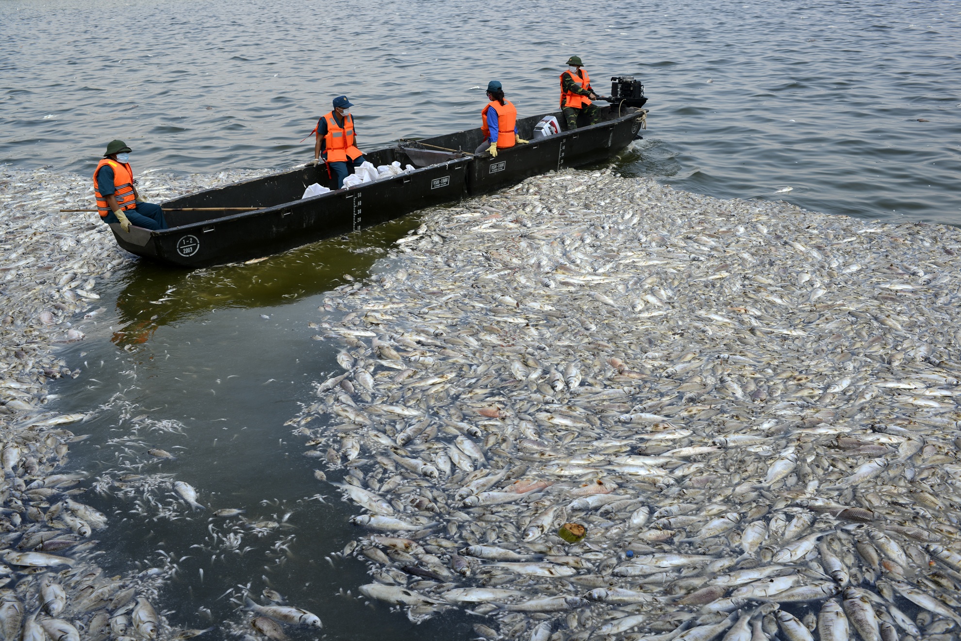 Nhung su kien noi bat nam 2016 anh 10