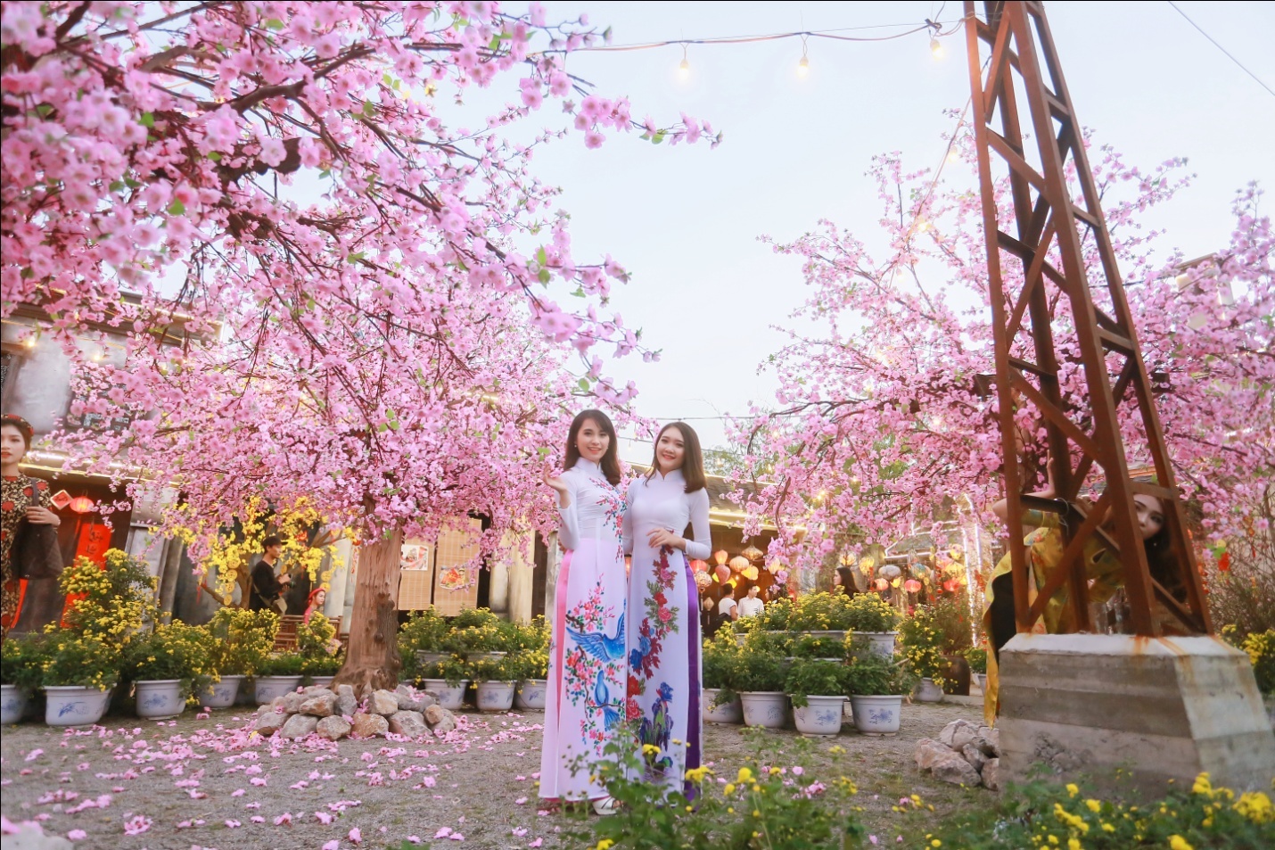 gioi tre chup anh voi hoa dao anh 3