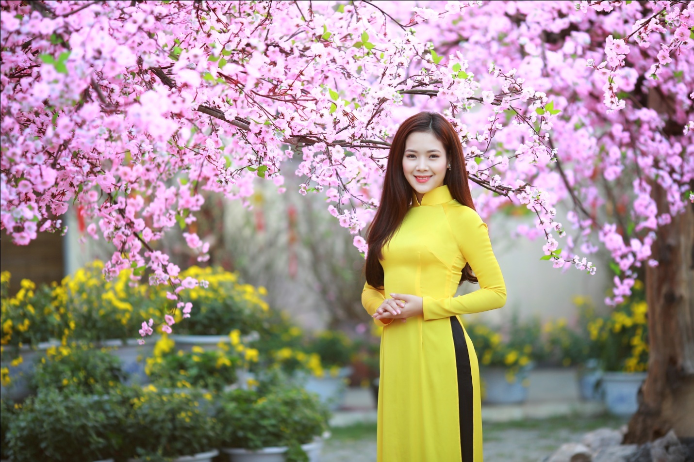 gioi tre chup anh voi hoa dao anh 4