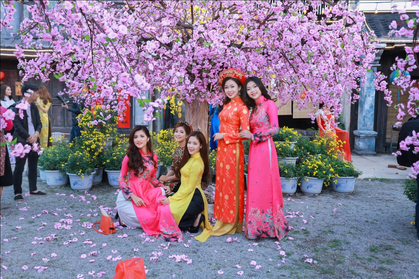 gioi tre chup anh voi hoa dao anh 5