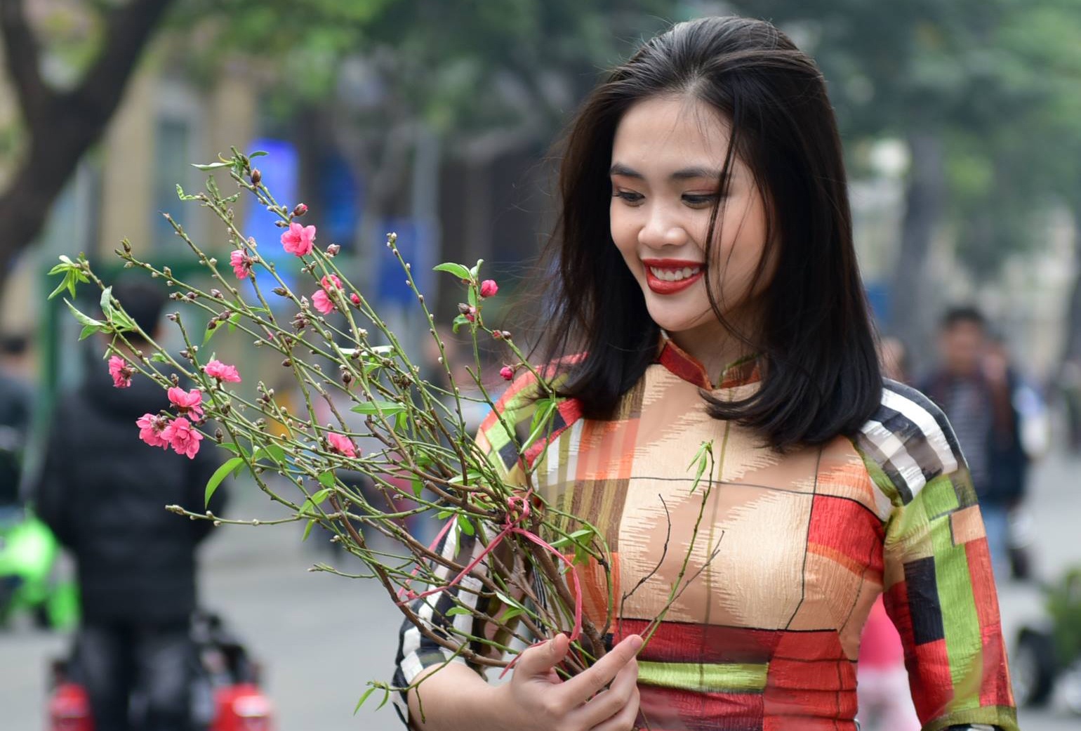 Pho phuong Sai Gon, Ha Noi chieu cuoi nam 2016 hinh anh