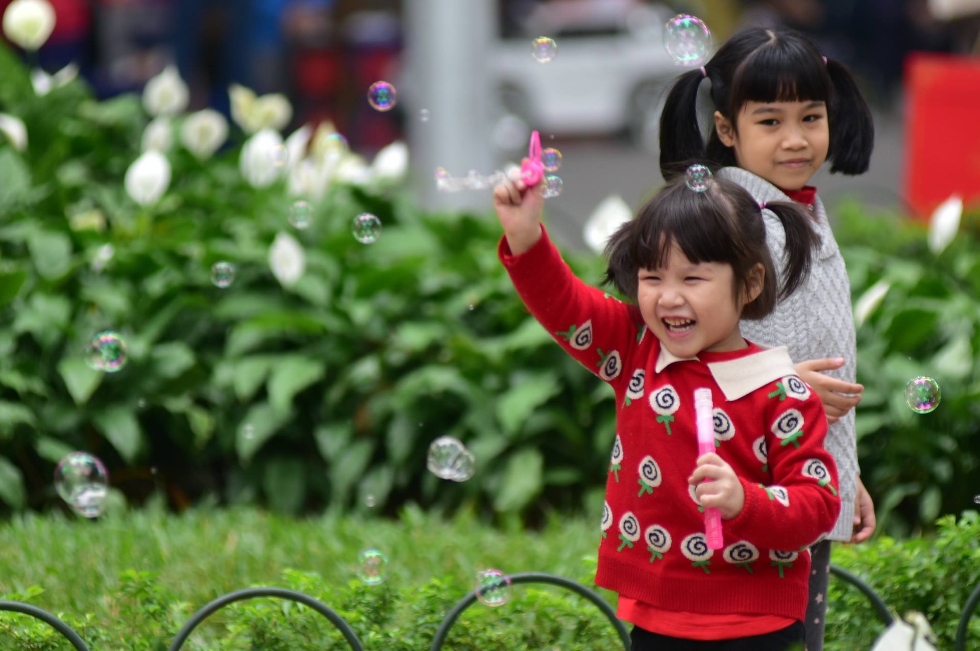 Chieu cuoi nam 2016 o Sai Gon anh 15