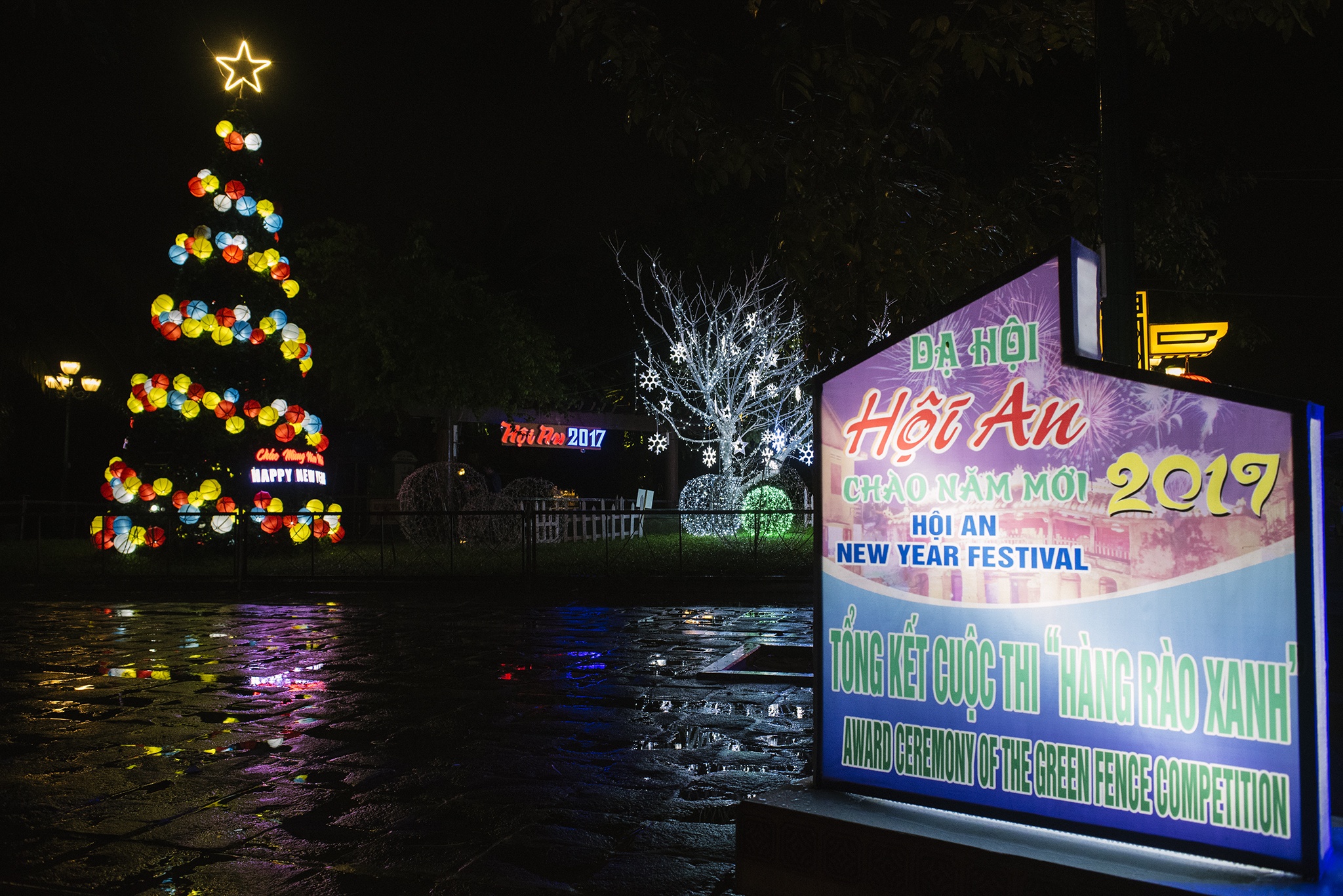 nguoi dan don nam moi 2017 anh 17