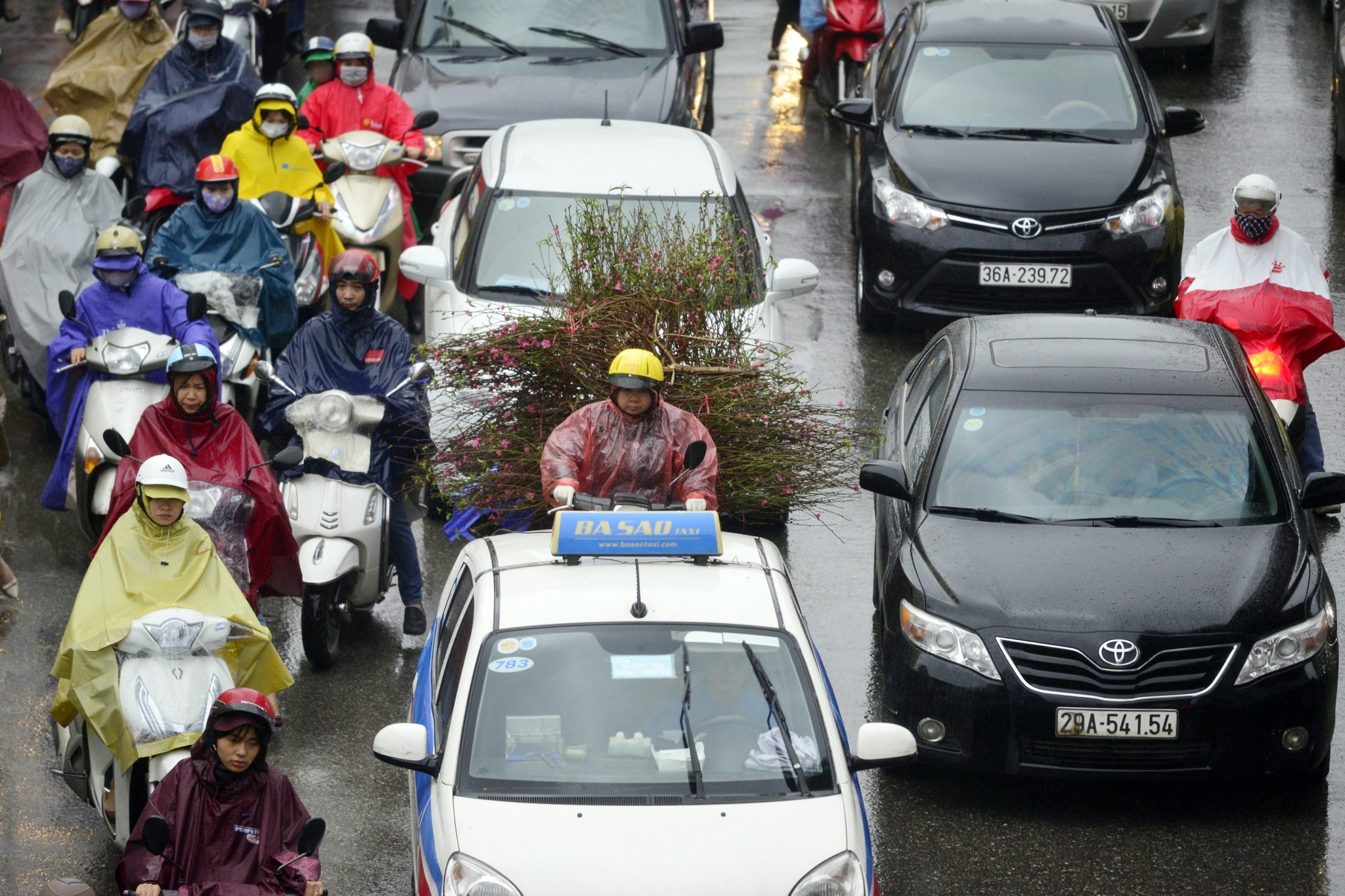 Xe hop rong ran,  chen ep xe may trong mua gio anh 13