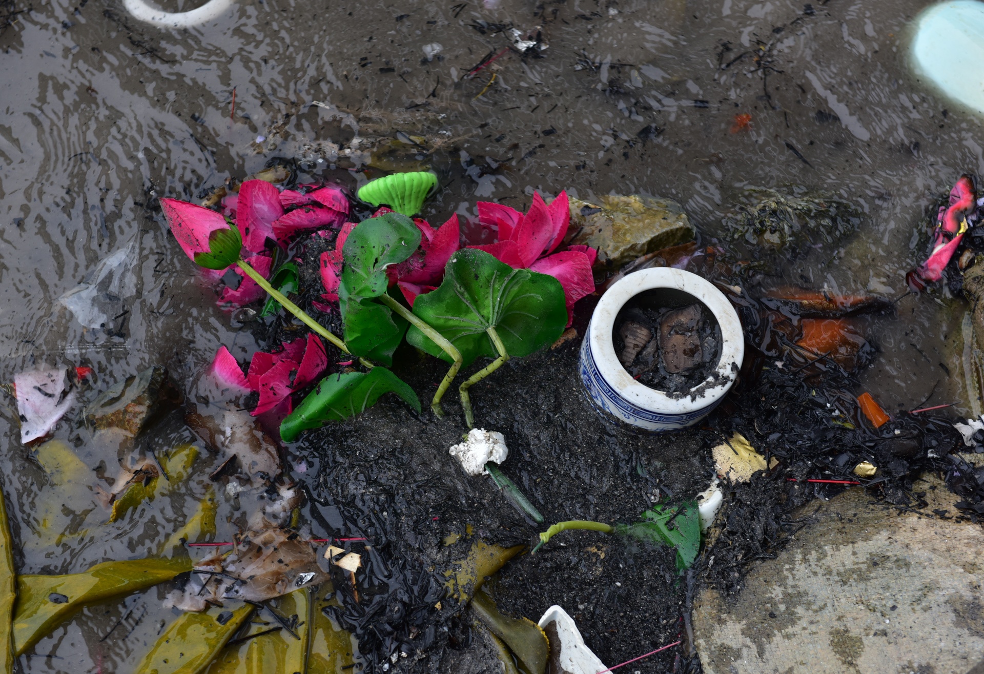 tha ca chep tien Tao quan chau troi anh 15