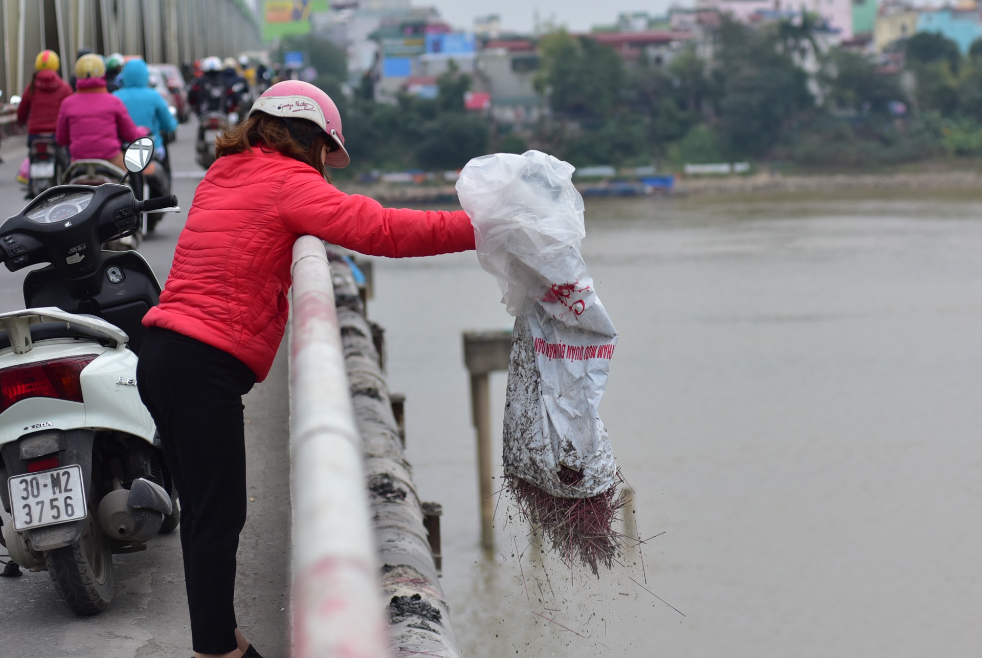 tha ca chep tien Tao quan chau troi anh 11