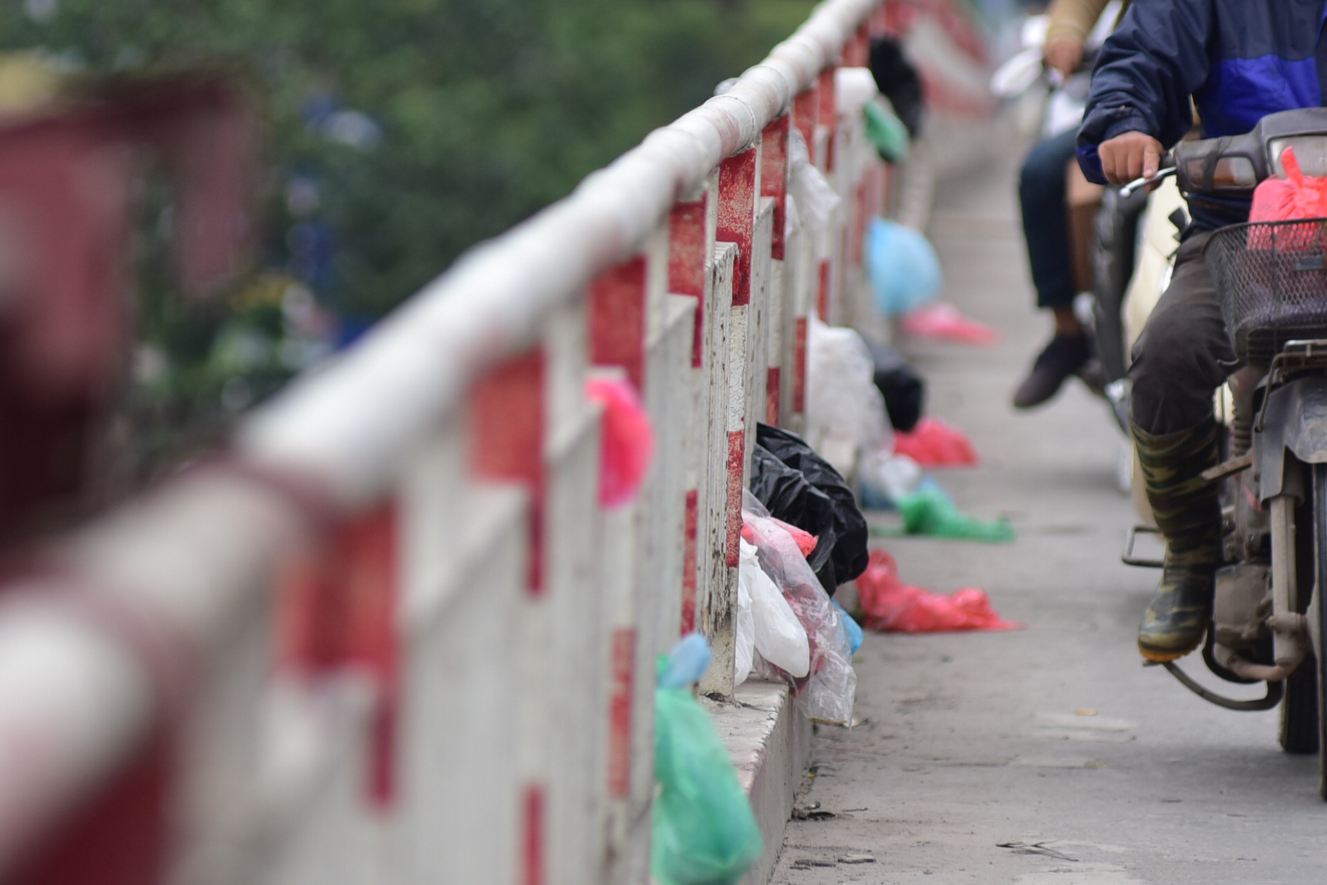 tha ca chep tien Tao quan chau troi anh 13