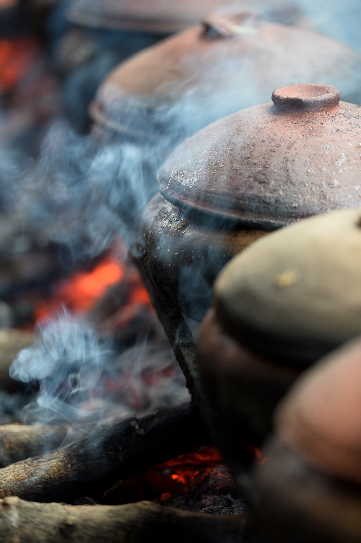 lang ca kho Vu Dai o Ha Nam anh 12